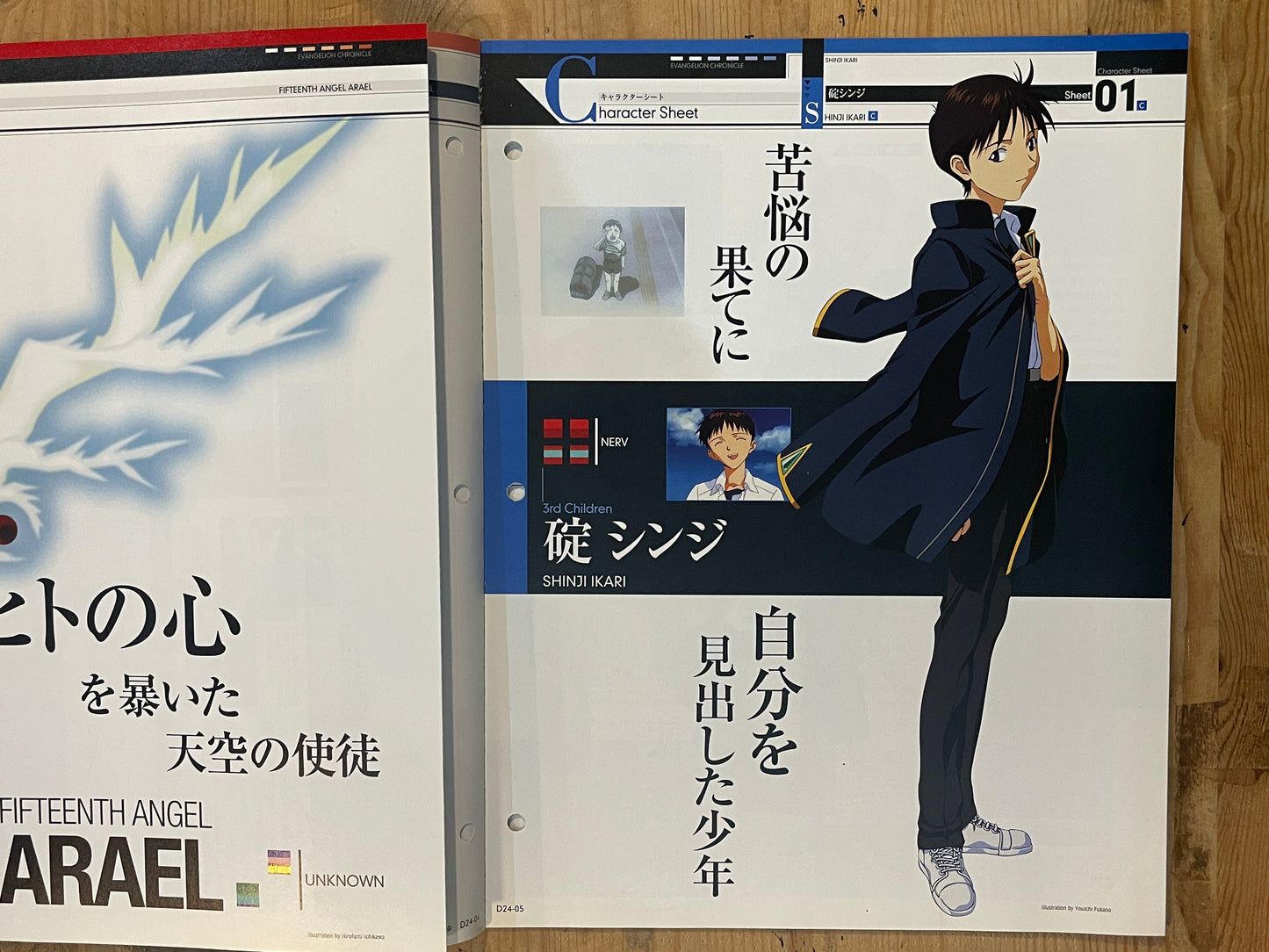 EVANGELION CHRONICLE Revised Vol.24 (2010) – Japan Anime Mook|Neon Genesis Evangelion