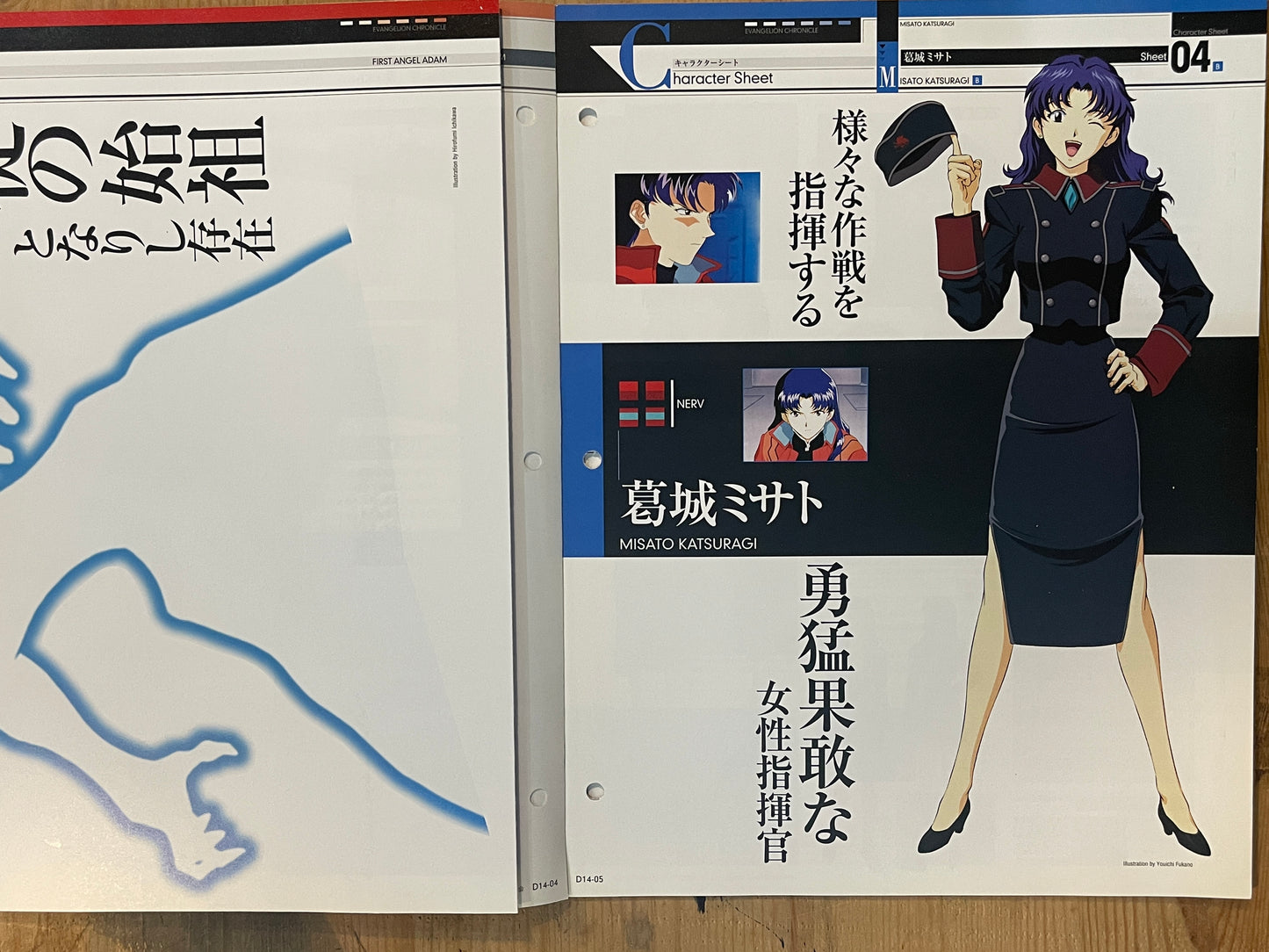 EVANGELION CHRONICLE Revised Vol.14 (2010) – Japan Anime Mook|Neon Genesis Evangelion