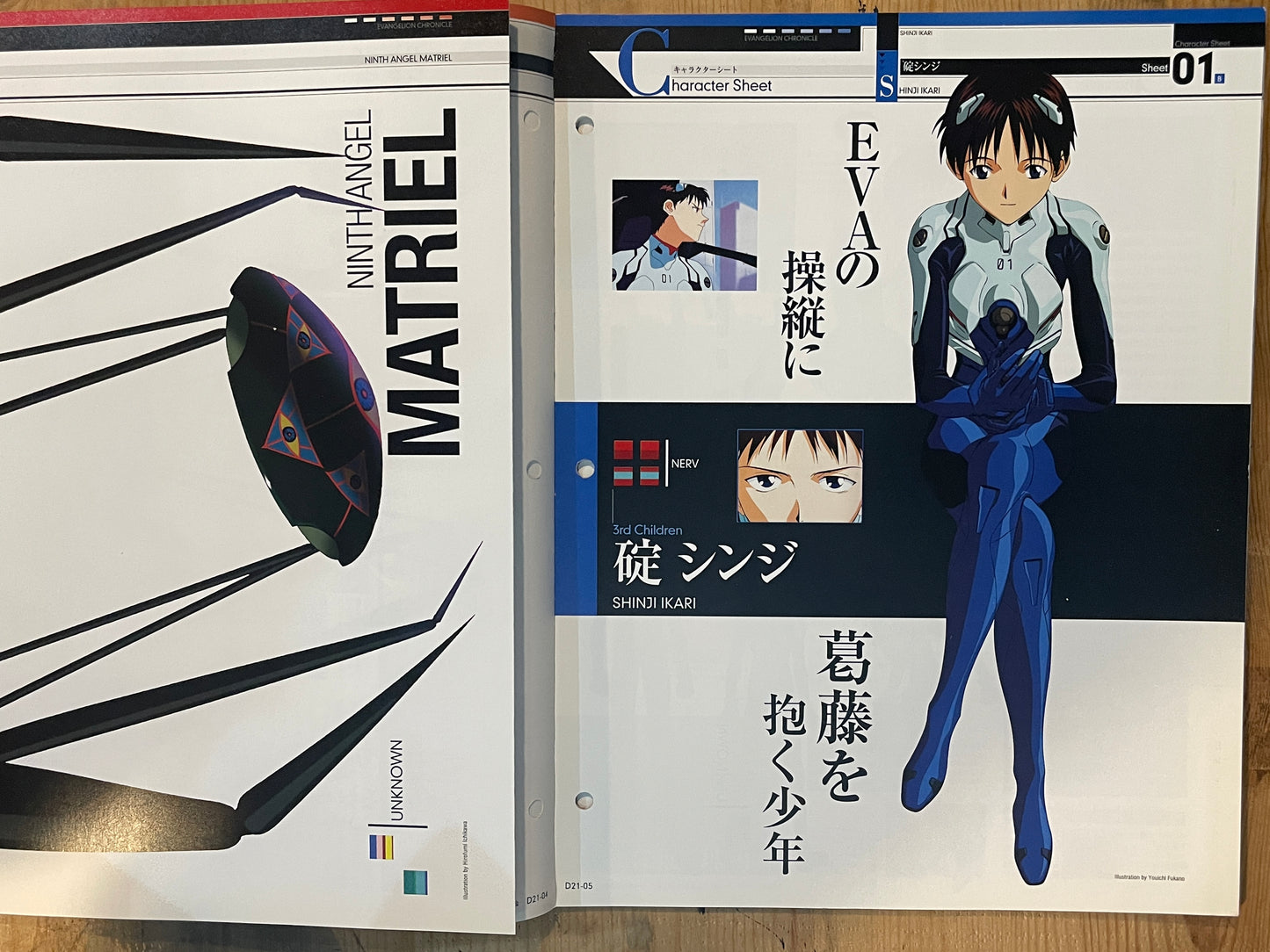 EVANGELION CHRONICLE Revised Vol.21 (2010) – Japan Anime Mook|Neon Genesis Evangelion