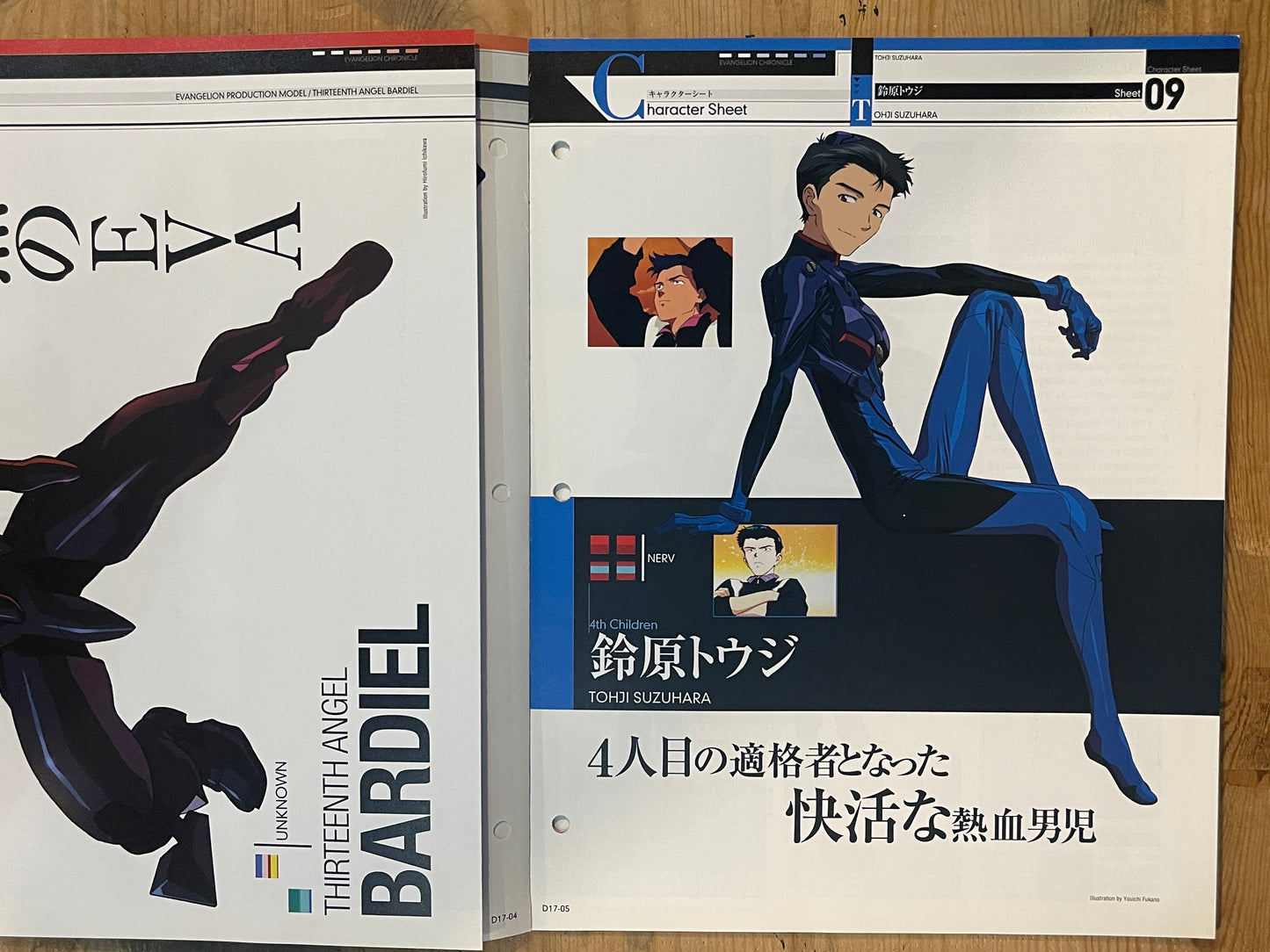 EVANGELION CHRONICLE Revised Vol.17 (2010) – Japan Anime Mook|Neon Genesis Evangelion