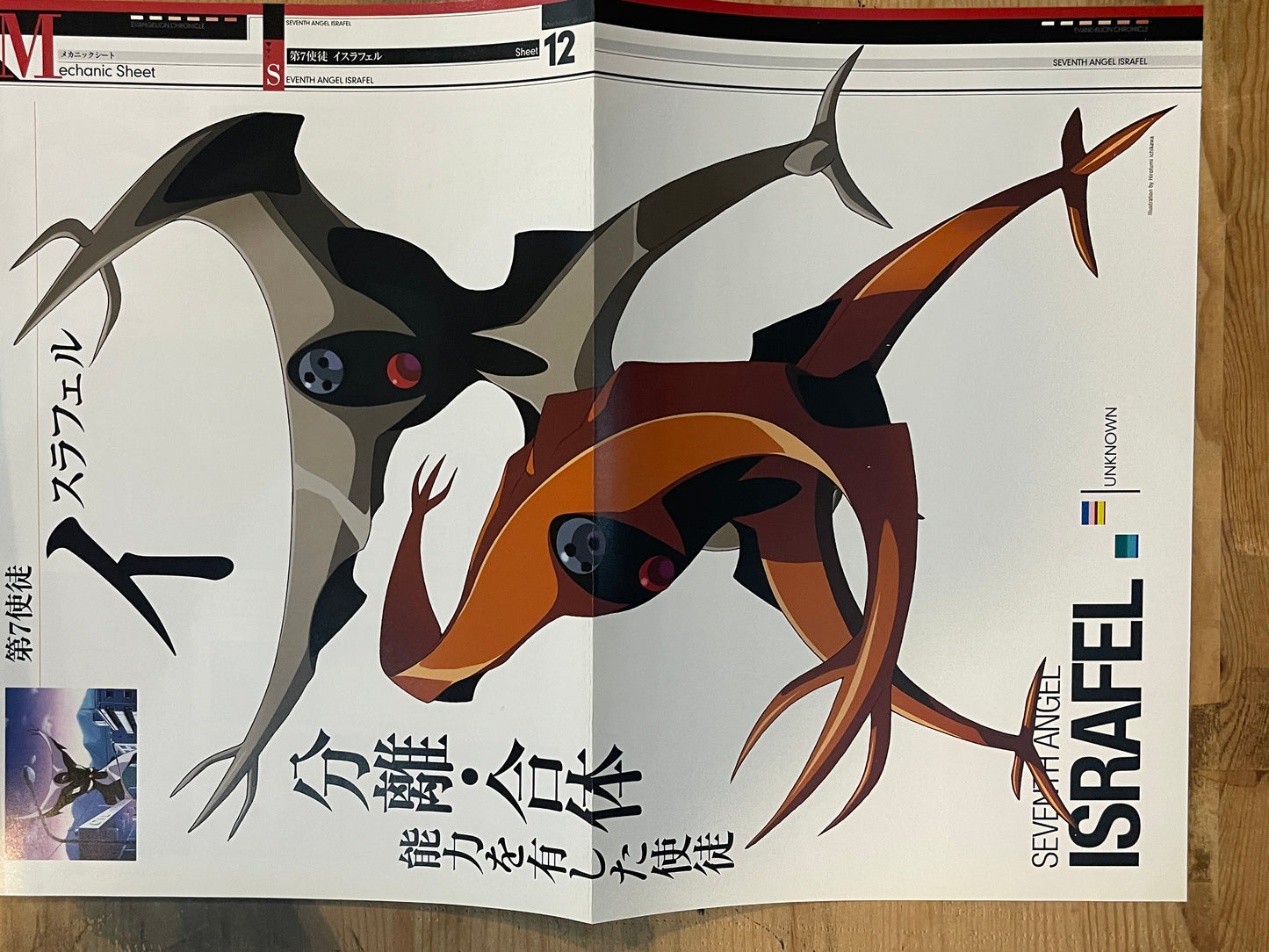 EVANGELION CHRONICLE Revised Vol.18 (2010) – Japan Anime Mook|Neon Genesis Evangelion
