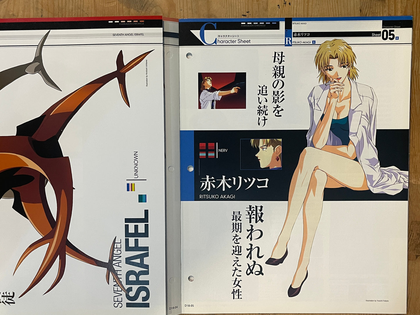 EVANGELION CHRONICLE Revised Vol.18 (2010) – Japan Anime Mook|Neon Genesis Evangelion