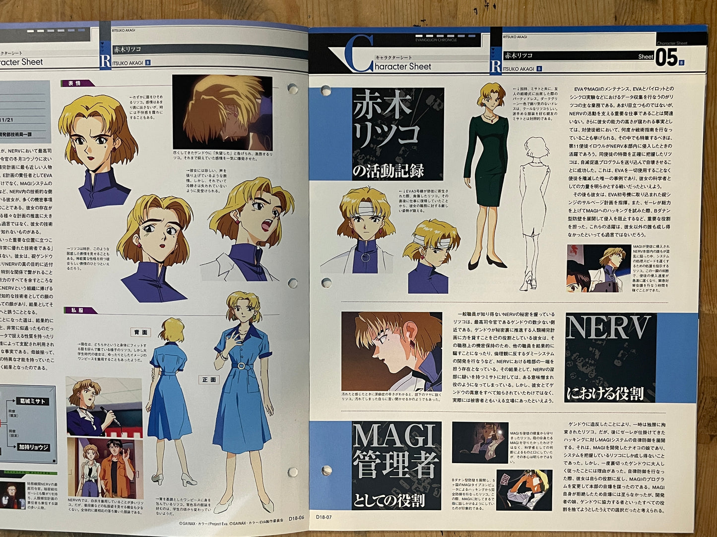 EVANGELION CHRONICLE Revised Vol.18 (2010) – Japan Anime Mook|Neon Genesis Evangelion