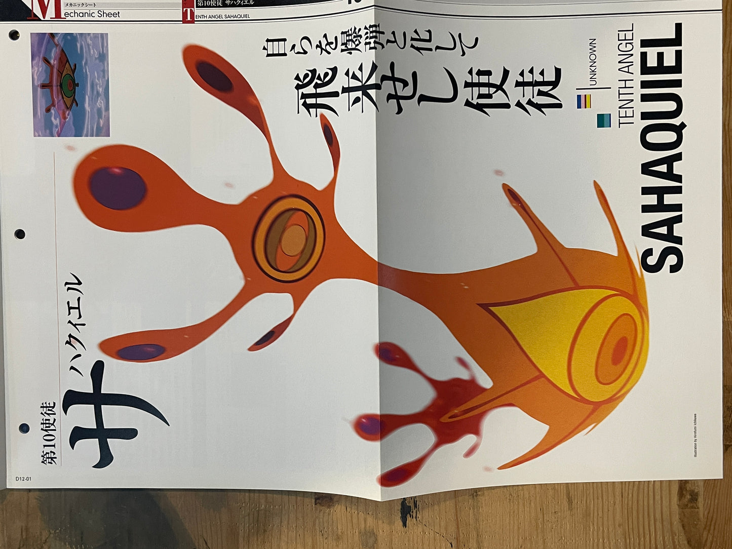 EVANGELION CHRONICLE Revised Vol.12 (2010) – Japan Anime Mook|Neon Genesis Evangelion