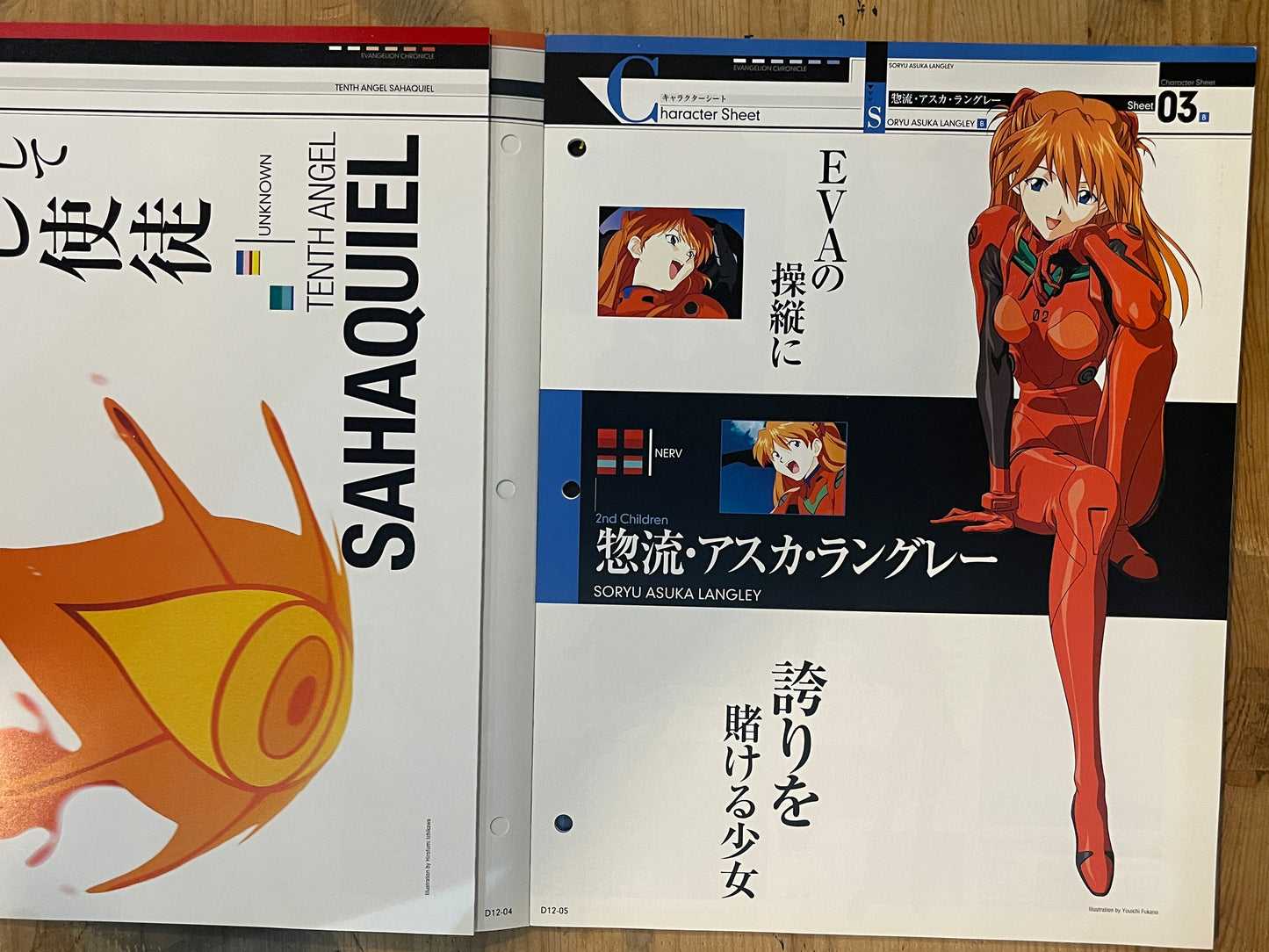 EVANGELION CHRONICLE Revised Vol.12 (2010) – Japan Anime Mook|Neon Genesis Evangelion