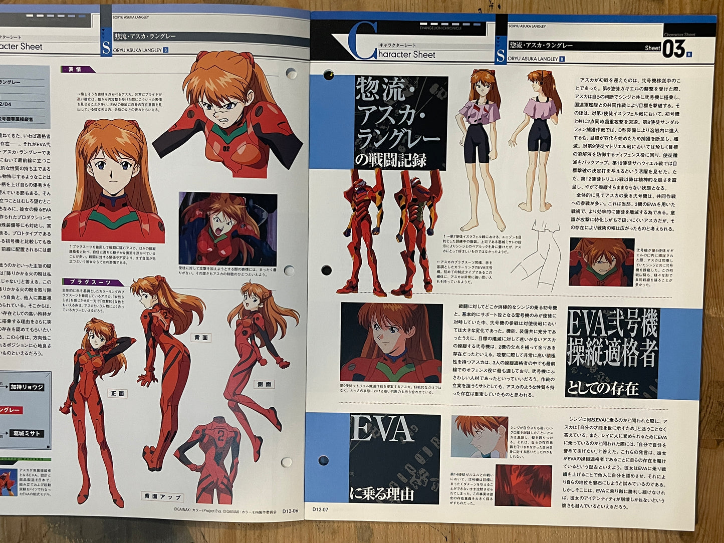 EVANGELION CHRONICLE Revised Vol.12 (2010) – Japan Anime Mook|Neon Genesis Evangelion