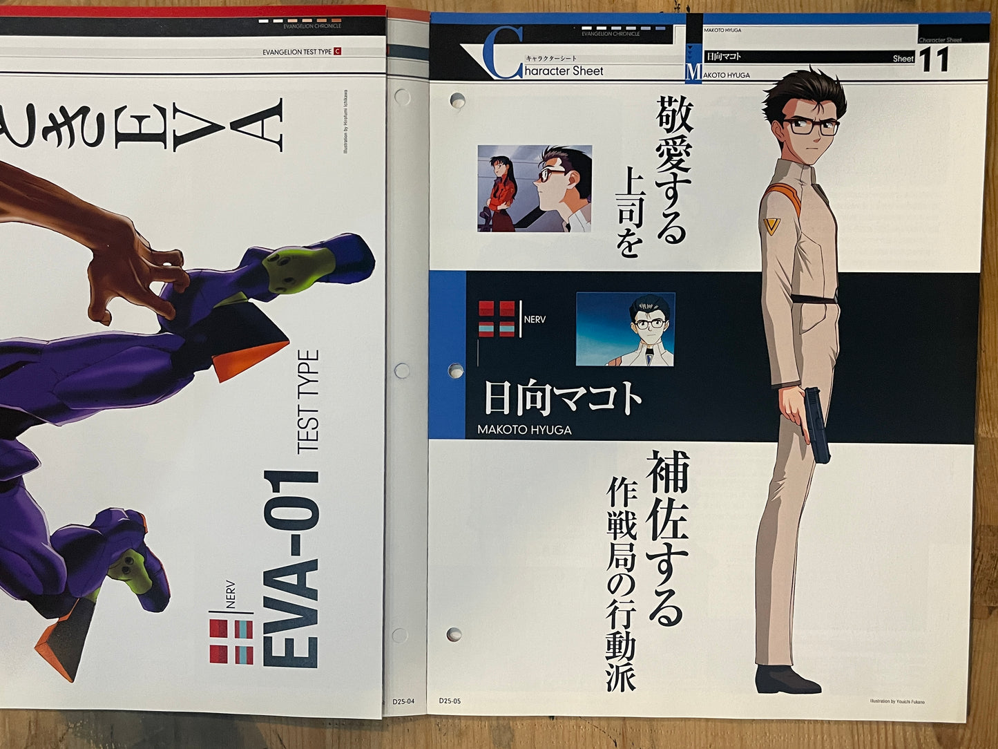 EVANGELION CHRONICLE Revised Vol.25 (2010) – Japan Anime Mook|Neon Genesis Evangelion