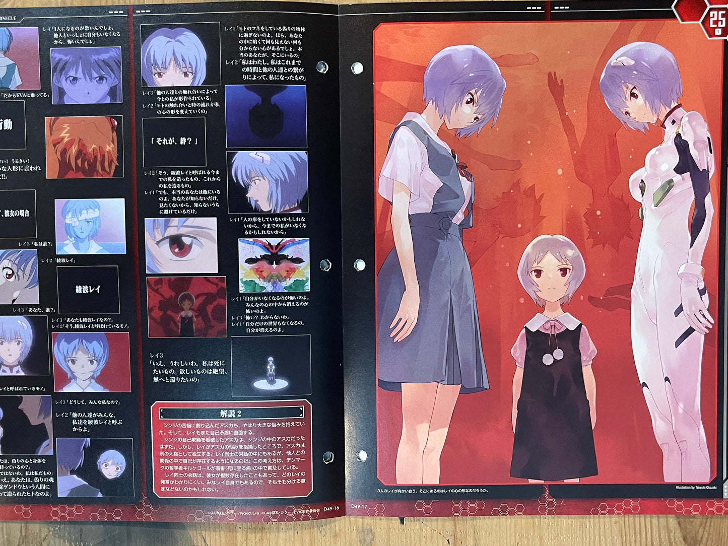 EVANGELION CHRONICLE Revised Vol.49 (2011) – Japan Anime Mook|Neon Genesis Evangelion