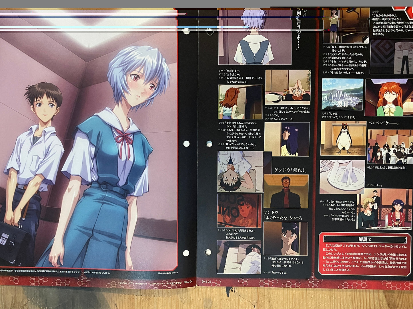 EVANGELION CHRONICLE Revised Vol.46 (2010) – Japan Anime Mook|Neon Genesis Evangelion