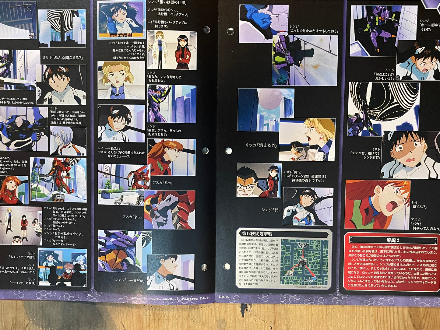 EVANGELION CHRONICLE Revised Vol.46 (2010) – Japan Anime Mook|Neon Genesis Evangelion