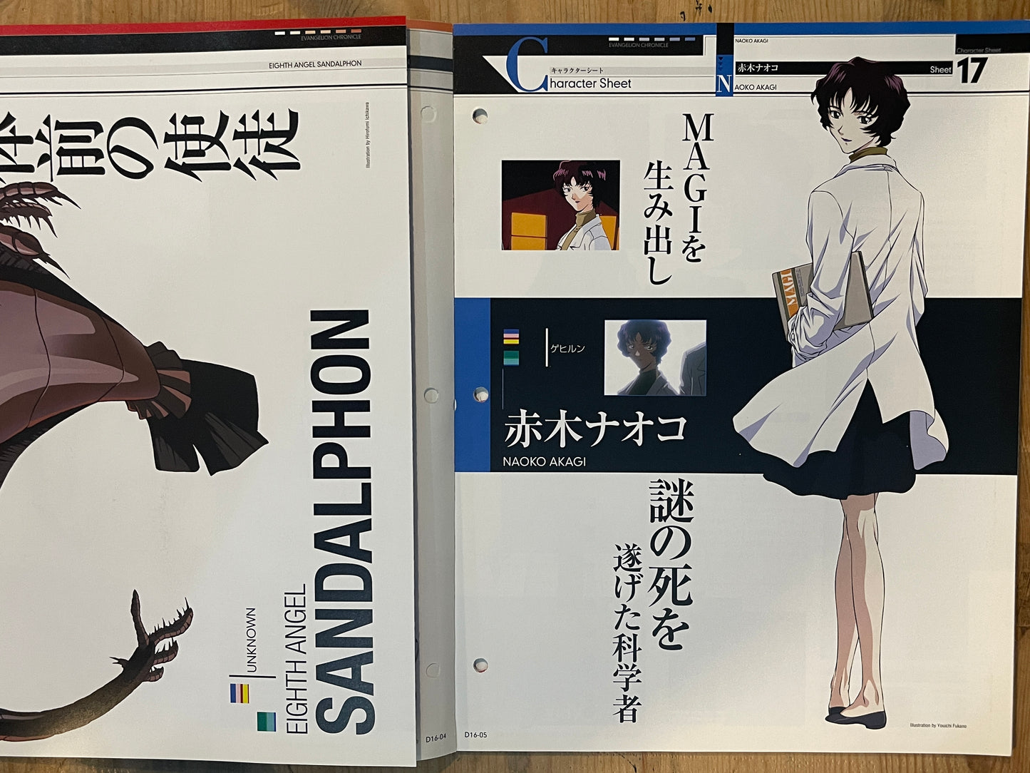 EVANGELION CHRONICLE Revised Vol.16 (2010) – Japan Anime Mook|Neon Genesis Evangelion