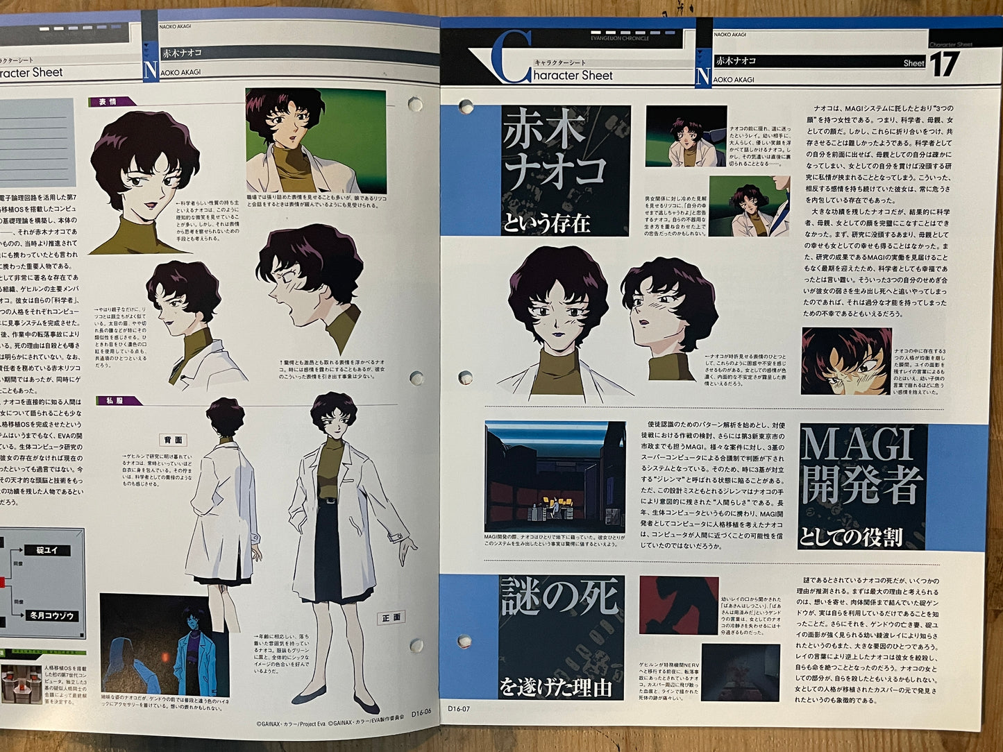 EVANGELION CHRONICLE Revised Vol.16 (2010) – Japan Anime Mook|Neon Genesis Evangelion