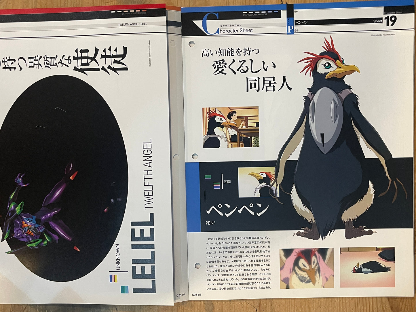 EVANGELION CHRONICLE Revised Vol.23 (2010) – Japan Anime Mook|Neon Genesis Evangelion