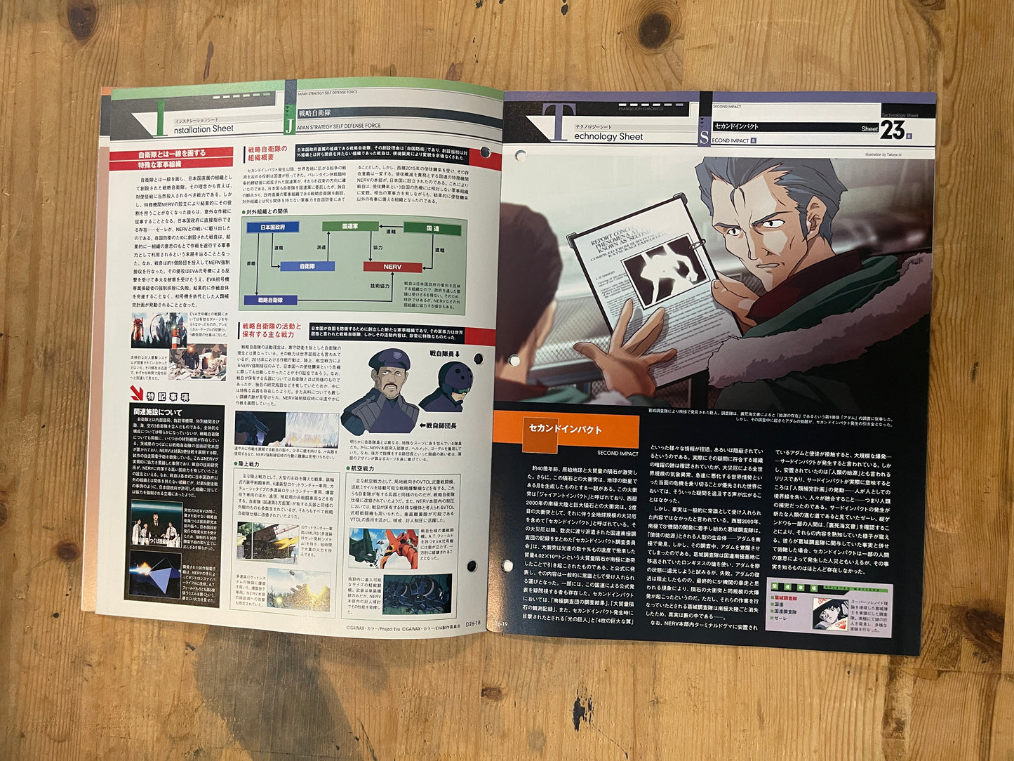 EVANGELION CHRONICLE Revised Vol.26 – 2010 Japan Edition | Anime Mook|Japanese Magazine