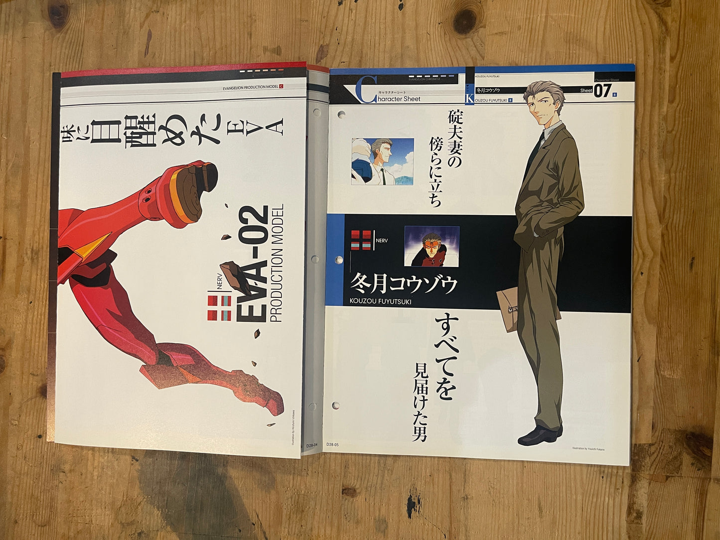 EVANGELION CHRONICLE Revised Vol.28 – 2010 Japan Edition | Anime Mook|Japanese Magazine