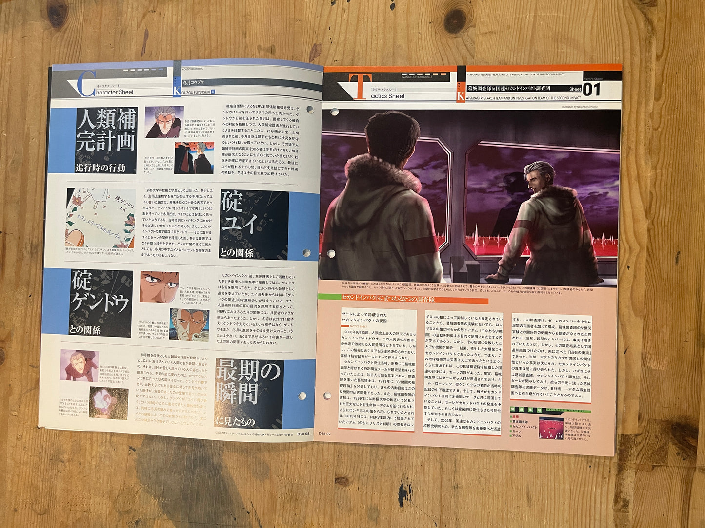 EVANGELION CHRONICLE Revised Vol.28 – 2010 Japan Edition | Anime Mook|Japanese Magazine