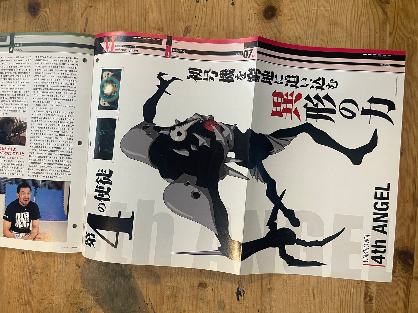 EVANGELION CHRONICLE Revised Vol.36 – 2010 Japan Edition | Anime Mook|Japanese Magazine