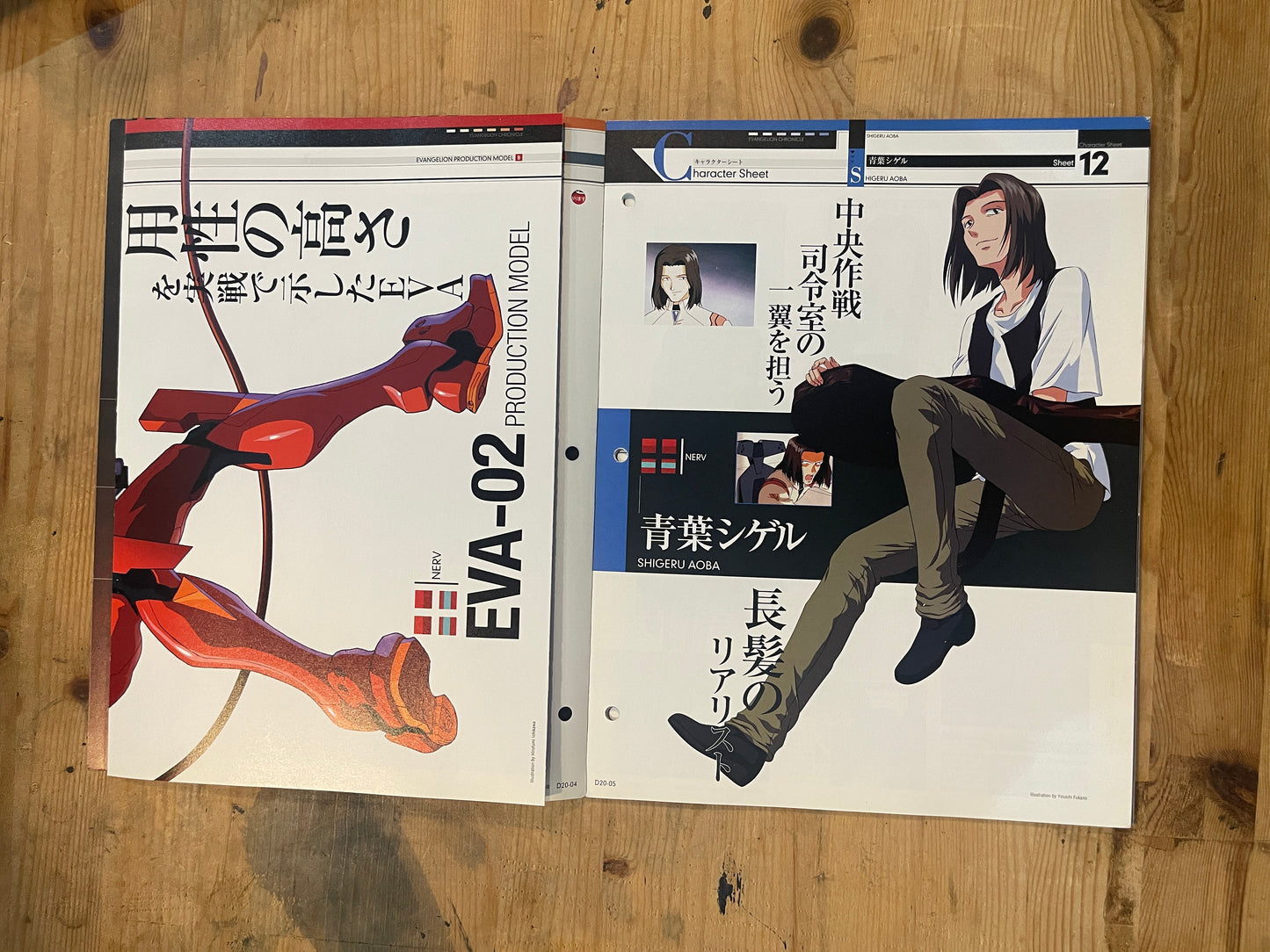 EVANGELION CHRONICLE Revised Vol.20 – 2010 Japan Edition | Anime Mook|Japanese Magazine