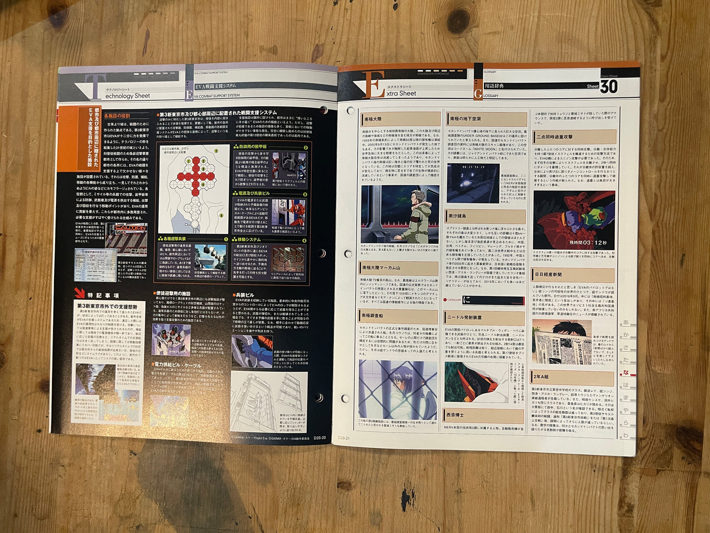 EVANGELION CHRONICLE Revised Vol.20 – 2010 Japan Edition | Anime Mook|Japanese Magazine