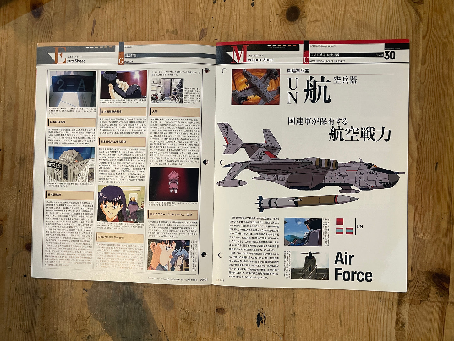 EVANGELION CHRONICLE Revised Vol.20 – 2010 Japan Edition | Anime Mook|Japanese Magazine