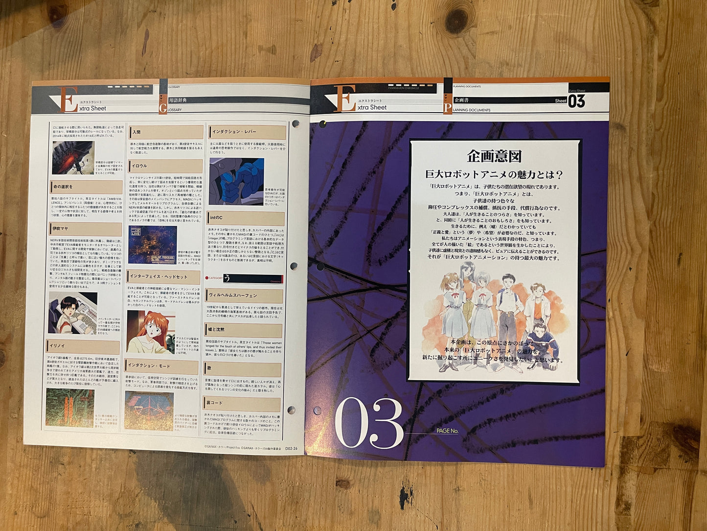 EVANGELION CHRONICLE Revised Vol.2 – 2010 Japan Edition | Anime Mook | Japanese Magazine