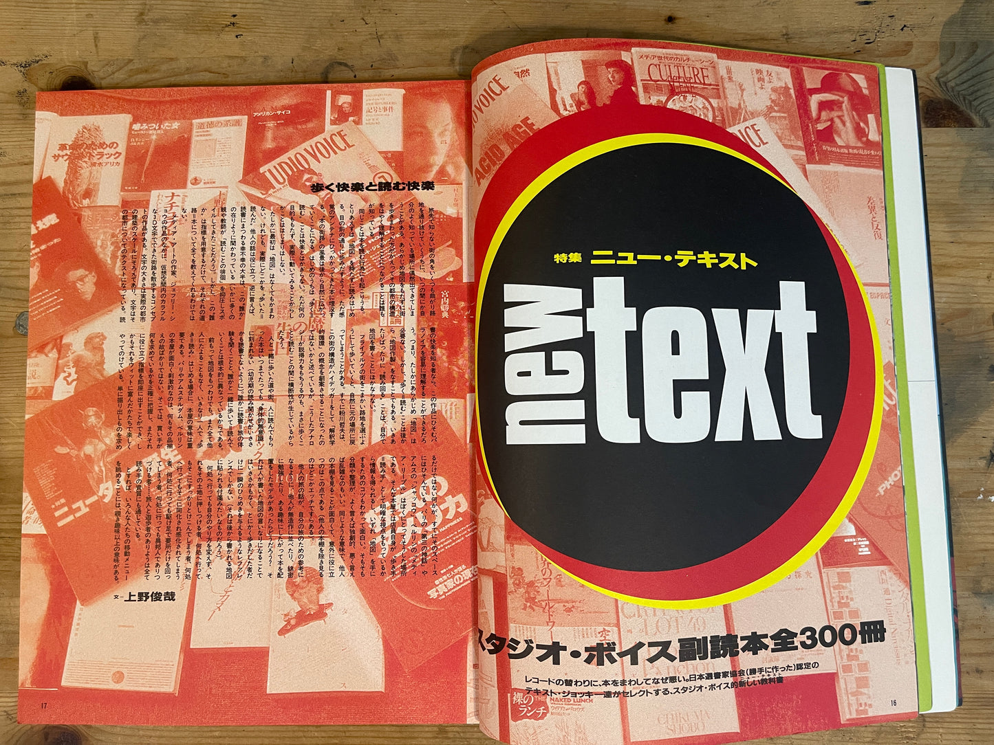 STUDIO VOICE 1993年6月号 No.210「new text スタジオボイス副読本300冊」 STUDIO VOICE June 1993 No.210 "New Text: 300 Supplementary Books of Studio Voice"|Japanese Magazine