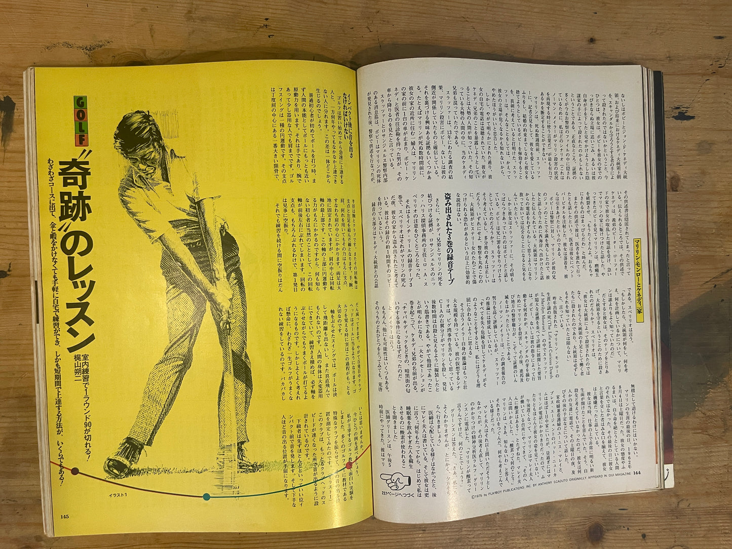 PLAYBOY 日本版 第8号 新春特大号 1976年2月 No.8 PLAYBOY Japan Edition Issue No.8 – New Year Special – February 1976|Japanese Magazine