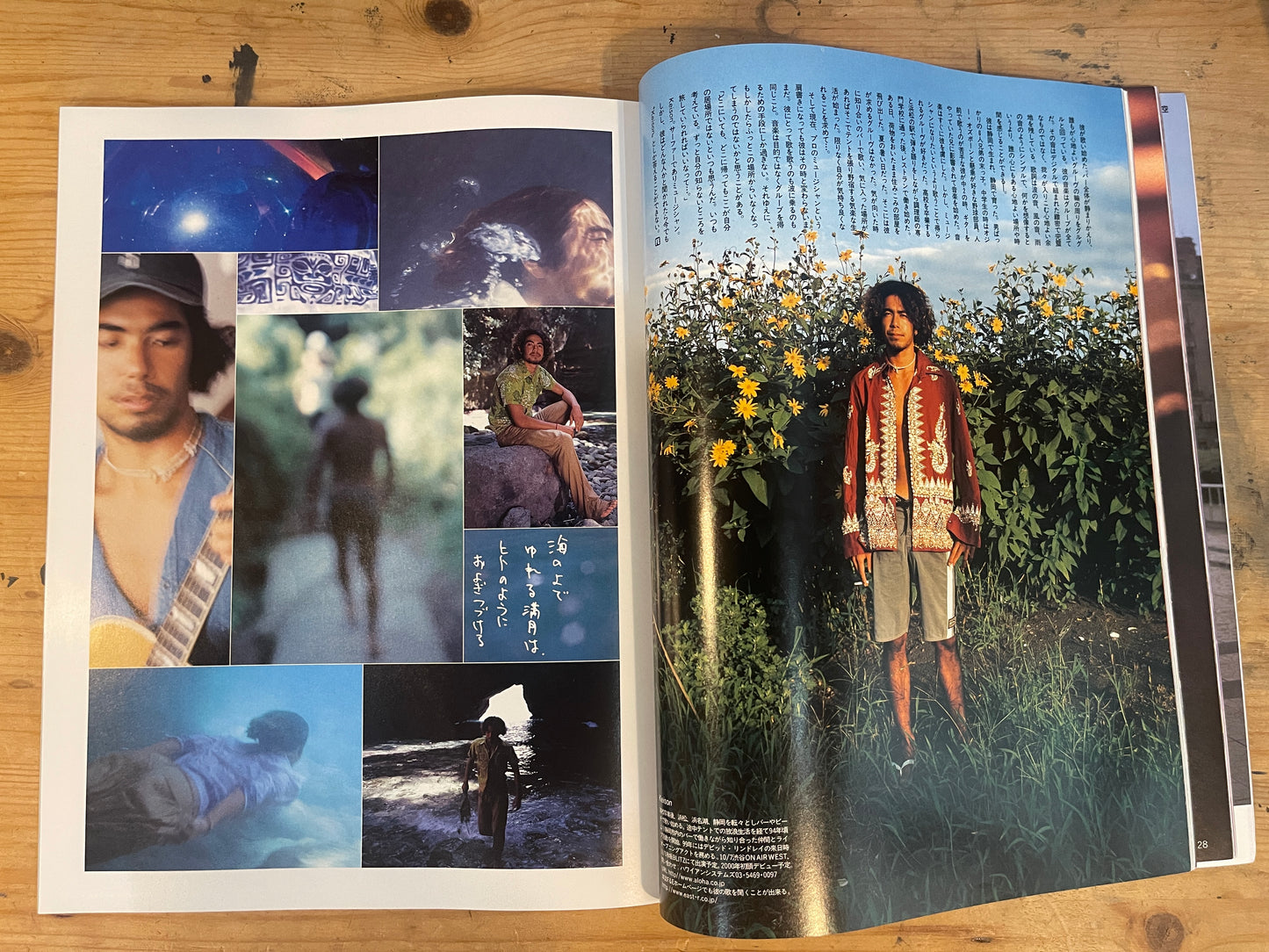 FREE&EASY フリーアンドイージー 1999年11月号 Vol.2 No.13 秋よ来るな! THE ENDLESS SUMMER 2|Don't Let Autumn Come! The Endless Summer 2|Japanese Magazine