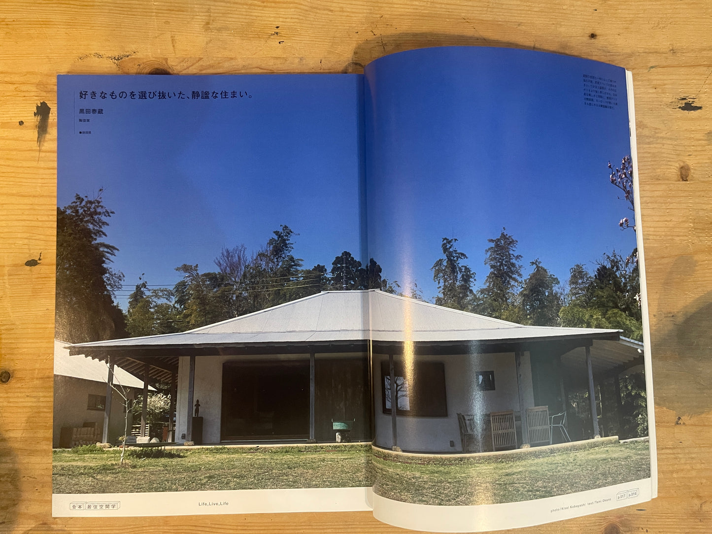 BRUTUS Special Edition: JYUKYO KUKAN GAKU | Japanese Magazine