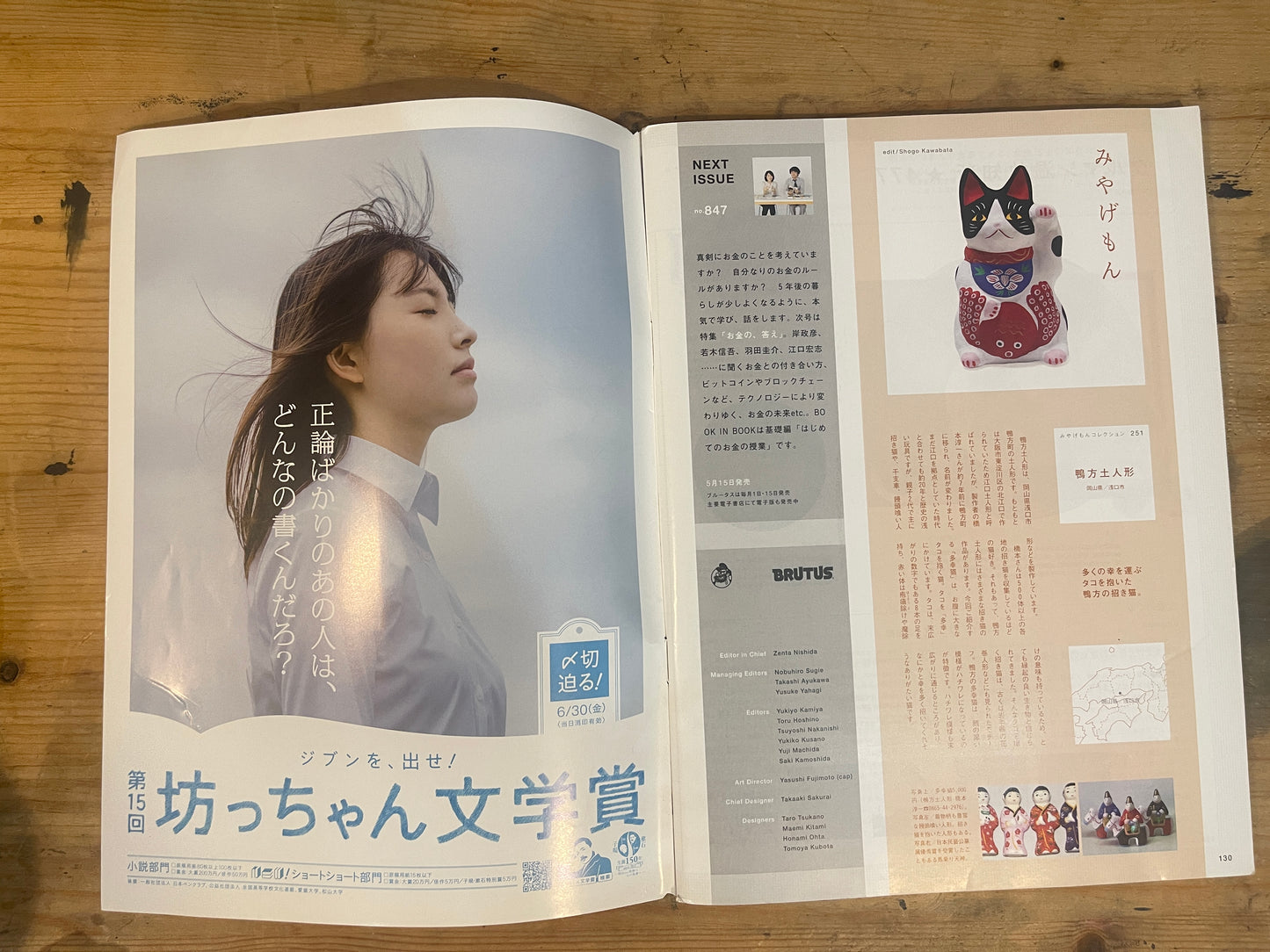 BRUTUS 2017/5/1 Issue No.846 Special Feature: Living Space Studies 2017: A room that holds memories. |Japanese Magazine