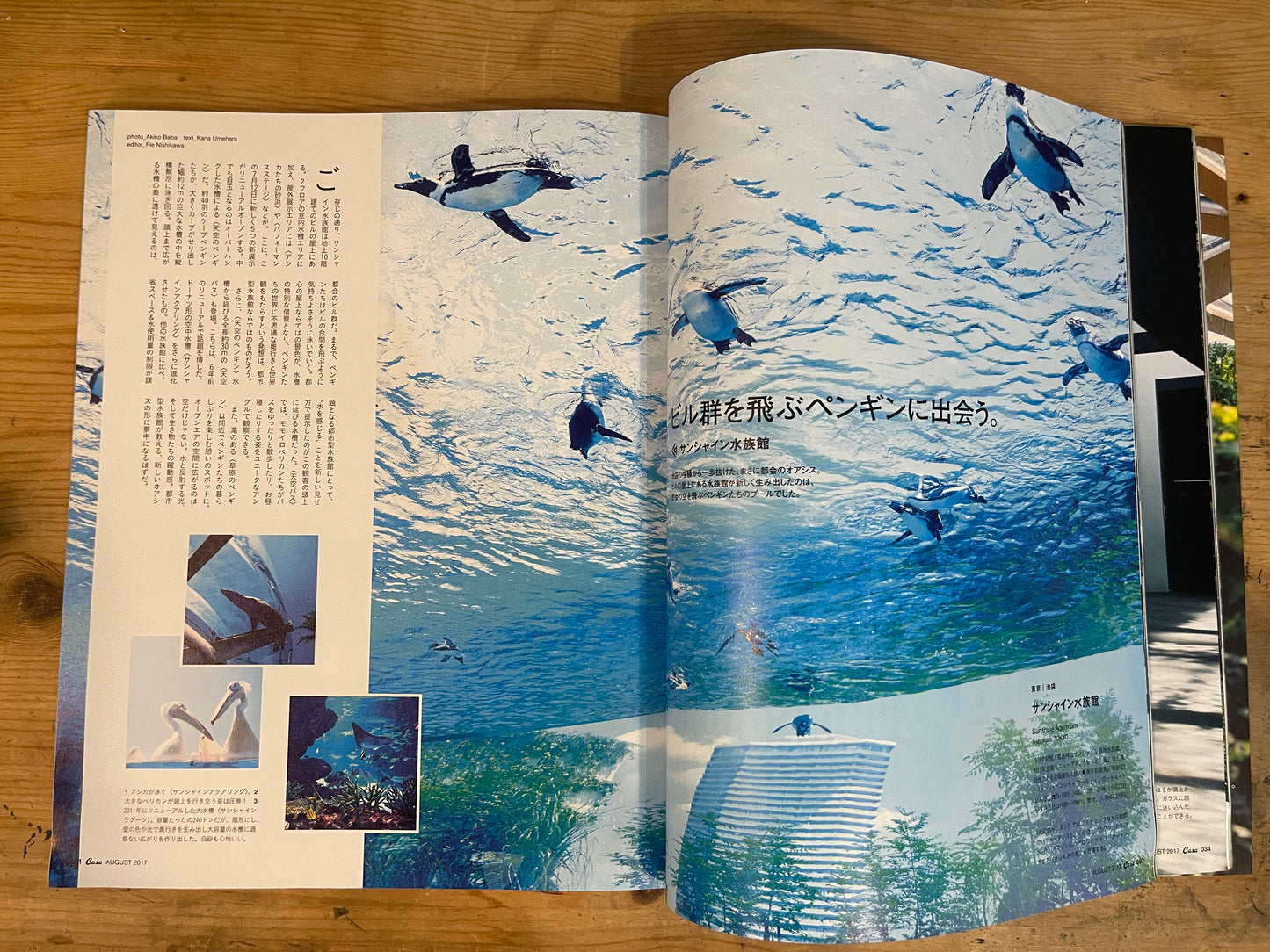Casa BRUTUS(カーサ ブルータス) 2017年8月号 第209号 – センスオブワンダーに出会える!動物園と水族館|Casa BRUTUS August 2017 Issue No.209 – Discovering the Sense of Wonder! Zoos and Aquariums|デザイン&ライフスタイル誌