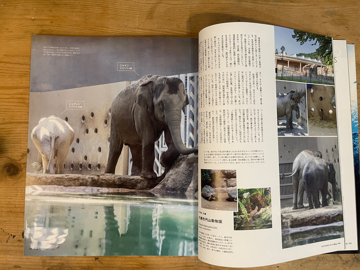 Casa BRUTUS(カーサ ブルータス)2019年9月号 Vol.234 – 最新!動物園と水族館|Casa BRUTUS Magazine September 2019 Vol.234 – The Latest in Zoos and Aquariums|デザインとライフスタイル誌