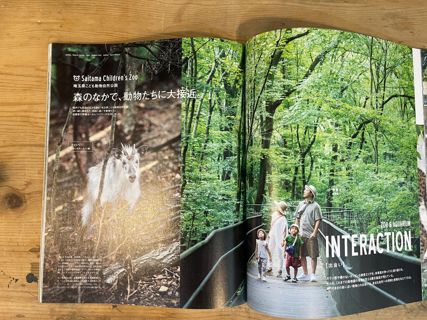 Casa BRUTUS(カーサ ブルータス)2019年9月号 Vol.234 – 最新!動物園と水族館|Casa BRUTUS Magazine September 2019 Vol.234 – The Latest in Zoos and Aquariums|デザインとライフスタイル誌