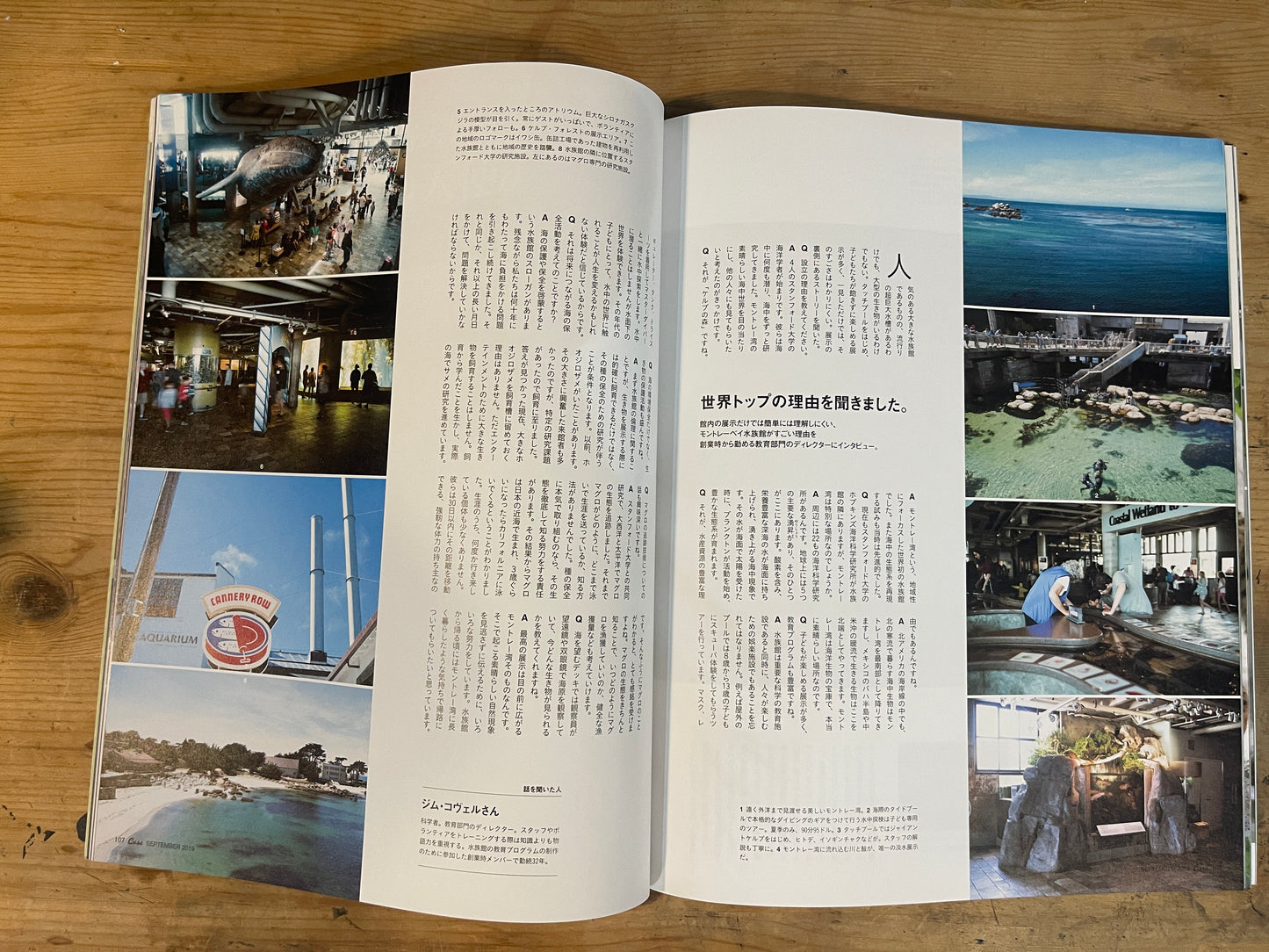 Casa BRUTUS(カーサ ブルータス)2019年9月号 Vol.234 – 最新!動物園と水族館|Casa BRUTUS Magazine September 2019 Vol.234 – The Latest in Zoos and Aquariums|デザインとライフスタイル誌