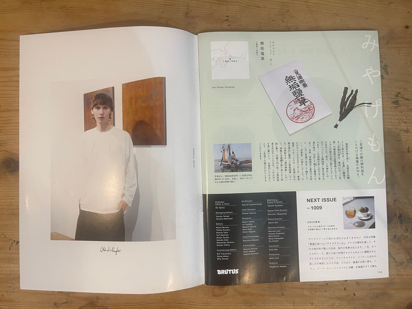 BRUTUS 2024年6月1日号 No.1008|短歌、詩、俳句、歌詞、名言「明日のための言葉300」一行だけで。 BRUTUS June 1, 2024 Issue No.1008 – 300 Words for Tomorrow: Tanka, Poems, Haiku, Lyrics, and Quotes in a Single Line