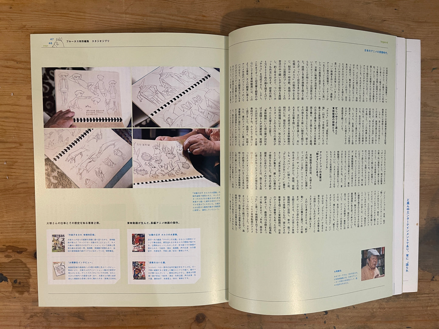 MAGAZINE HOUSE MOOK BRUTUS 特別編集 スタジオジブリ 2011/8/25発行 MAGAZINE HOUSE MOOK BRUTUS Special Edition Studio Ghibli 2011/8/25|Japanese Magazine