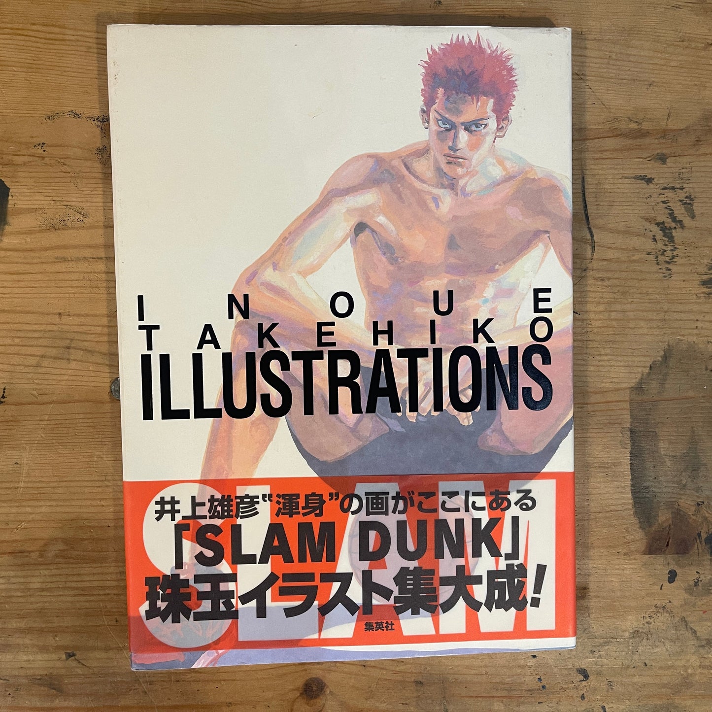 井上雄彦イラストレーションズ|INOUE TAKEHIKO ILLUSTRATIONS Japanese Art Book