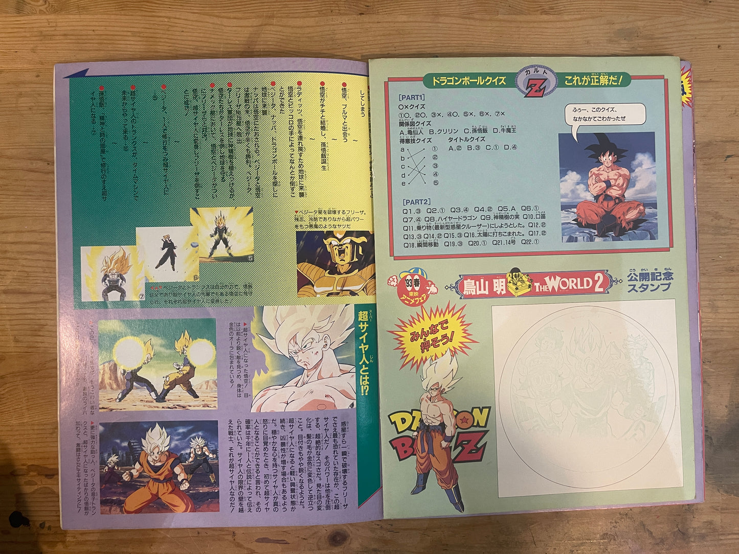 DRAGON BALL Z 燃えつきろ!! 熱戦・烈戦・超激戦 1993年春 東映アニメフェア 映画パンフレット Dragon Ball Z: Broly – The Legendary Super Saiyan 1993 Spring Toei Anime Fair Movie Program|Japanese Movie Pamphlet