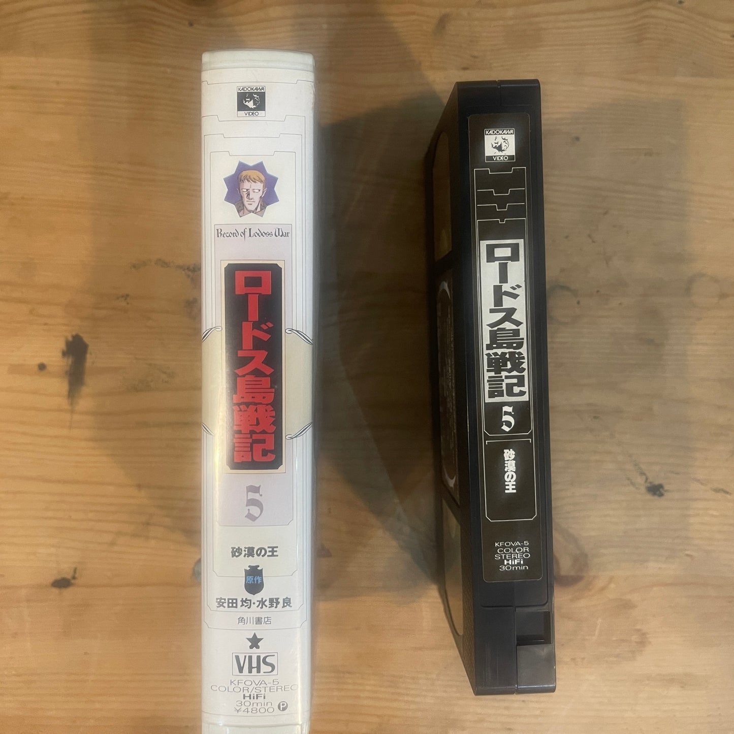 【レア/未確認】ロードス島戦記 OVA VHS 第5巻 「砂漠の王」 / Record of Lodoss War OVA Vol. 5 "The King of the Desert" - UNTESTED