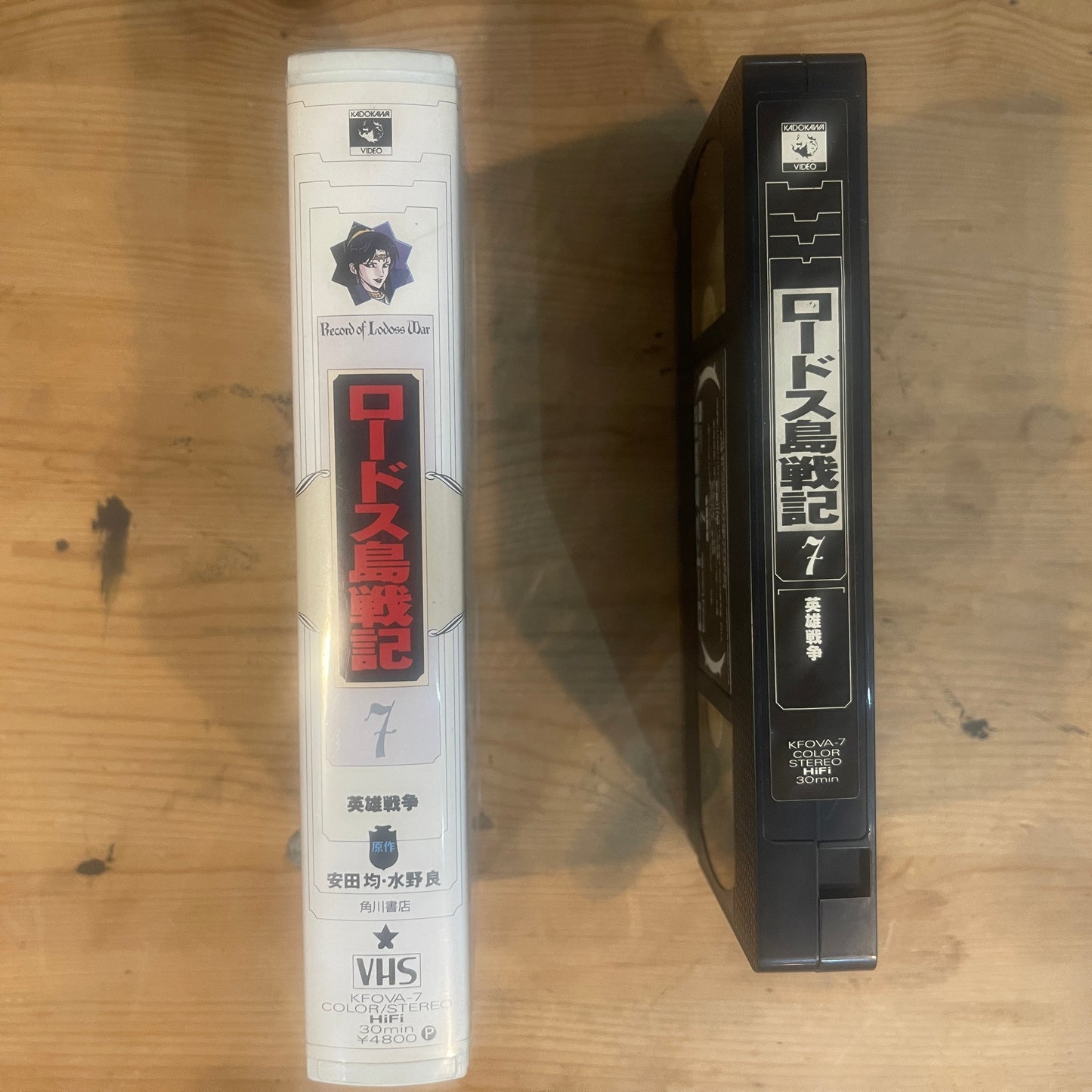 【レア/未確認】ロードス島戦記 OVA VHS 第7巻 「英雄戦争」 / Record of Lodoss War OVA Vol. 7 "The Heroic War" - UNTESTED