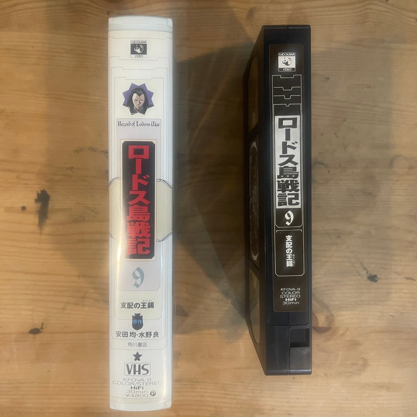 【レア/未確認】ロードス島戦記 OVA VHS 第9巻 「支配の王錫」 / Record of Lodoss War OVA Vol. 9 "The Scepter of Domination" - UNTESTED