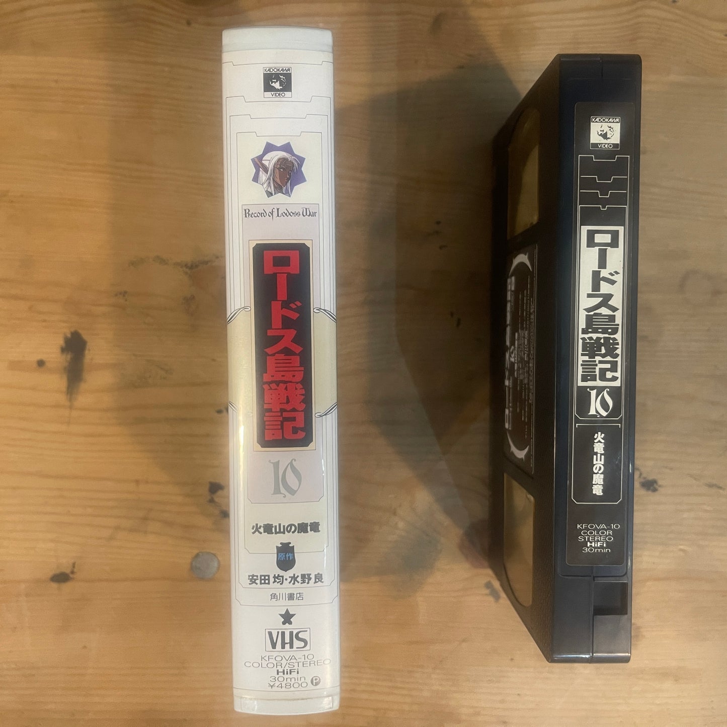 【レア/未確認】ロードス島戦記 OVA VHS 第10巻 「火竜山の魔竜」 / Record of Lodoss War OVA Vol. 10 "The Dragon of Fire Dragon Mountain" - UNTESTED