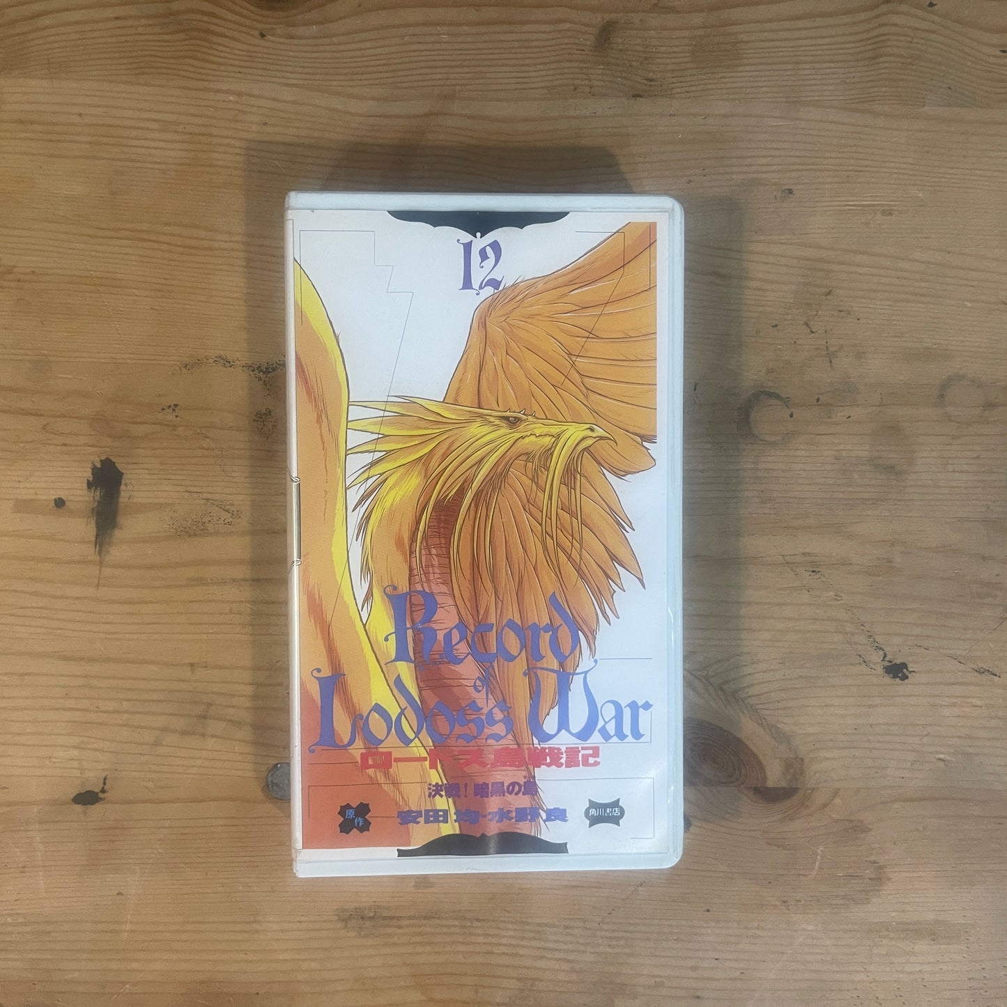 【レア/未確認】ロードス島戦記 OVA VHS 第12巻 「決戦!暗黒の島」 / Record of Lodoss War OVA Vol. 12 "Decisive Battle! The Isle of Darkness" - UNTESTED