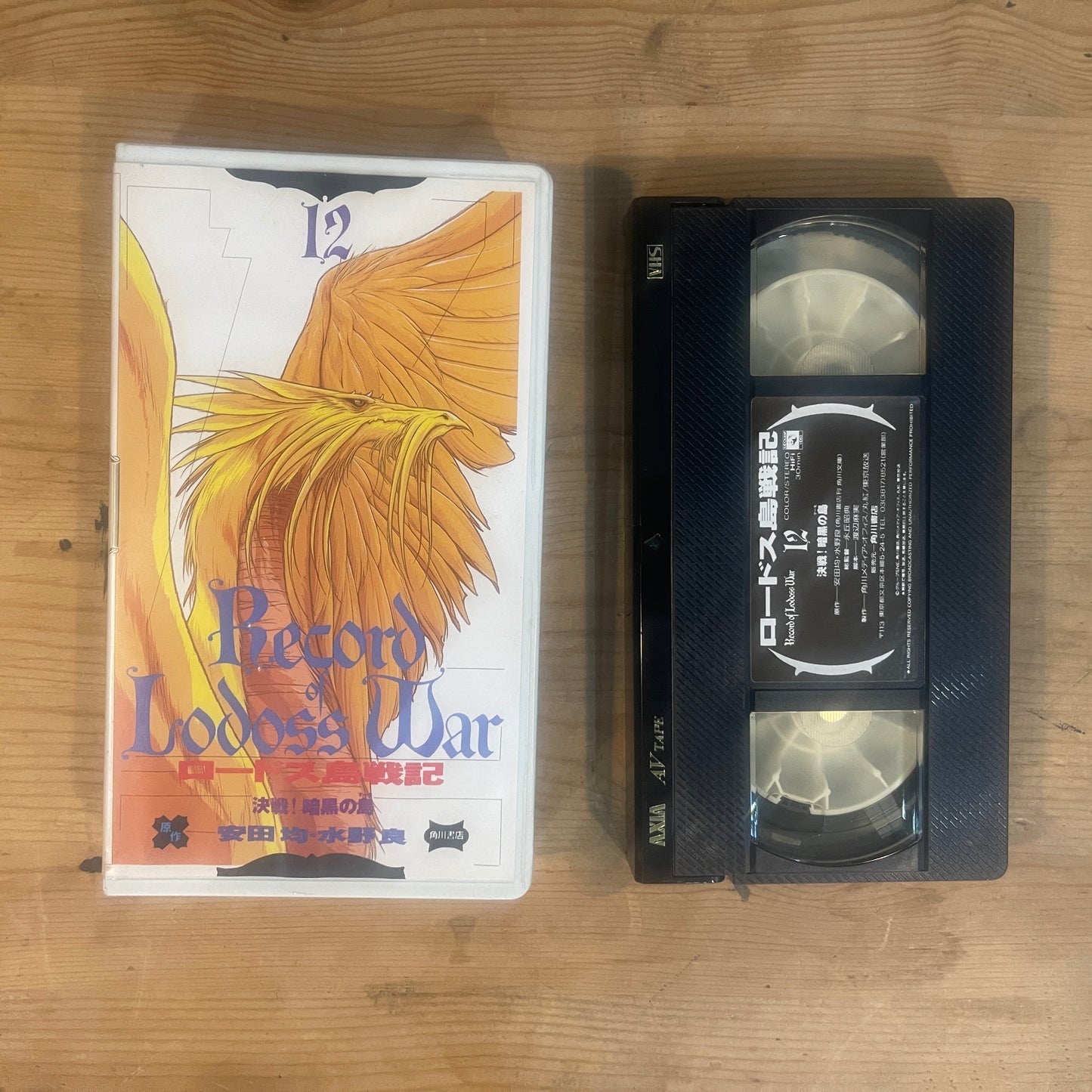 【レア/未確認】ロードス島戦記 OVA VHS 第12巻 「決戦!暗黒の島」 / Record of Lodoss War OVA Vol. 12 "Decisive Battle! The Isle of Darkness" - UNTESTED