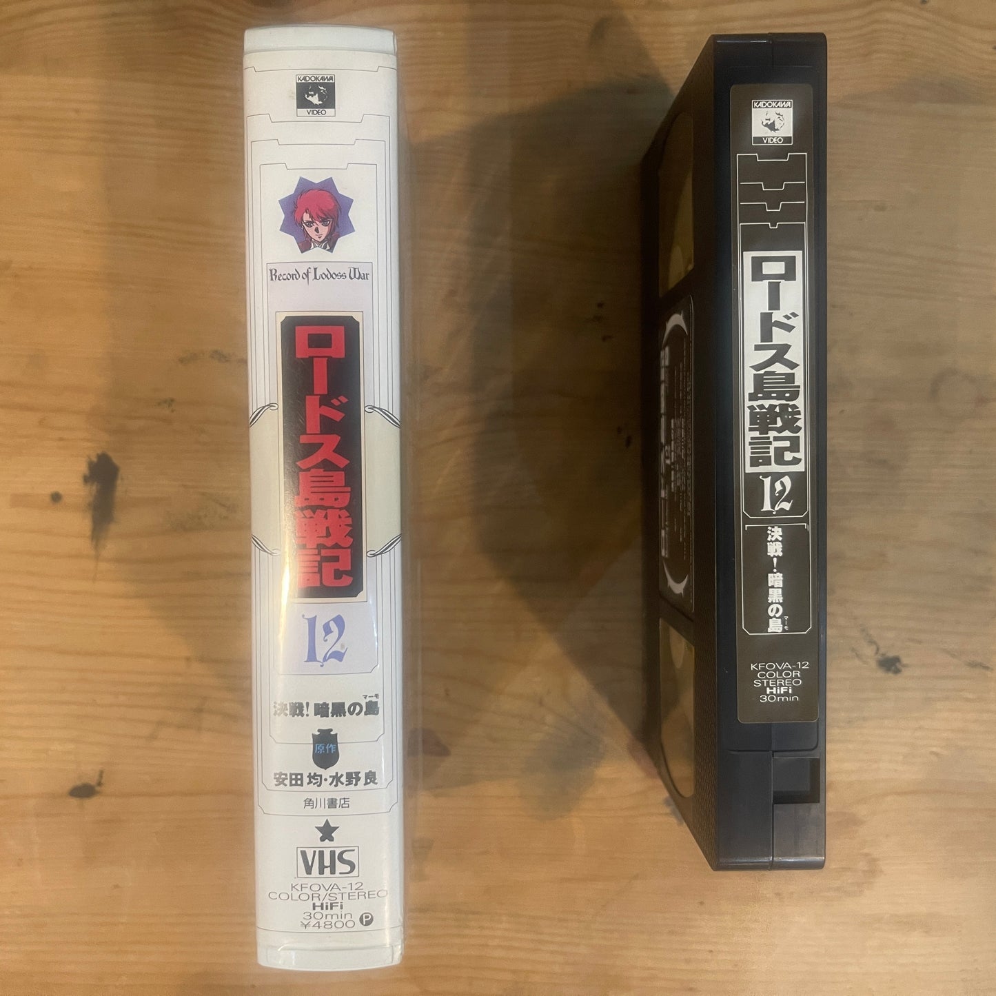 【レア/未確認】ロードス島戦記 OVA VHS 第12巻 「決戦!暗黒の島」 / Record of Lodoss War OVA Vol. 12 "Decisive Battle! The Isle of Darkness" - UNTESTED
