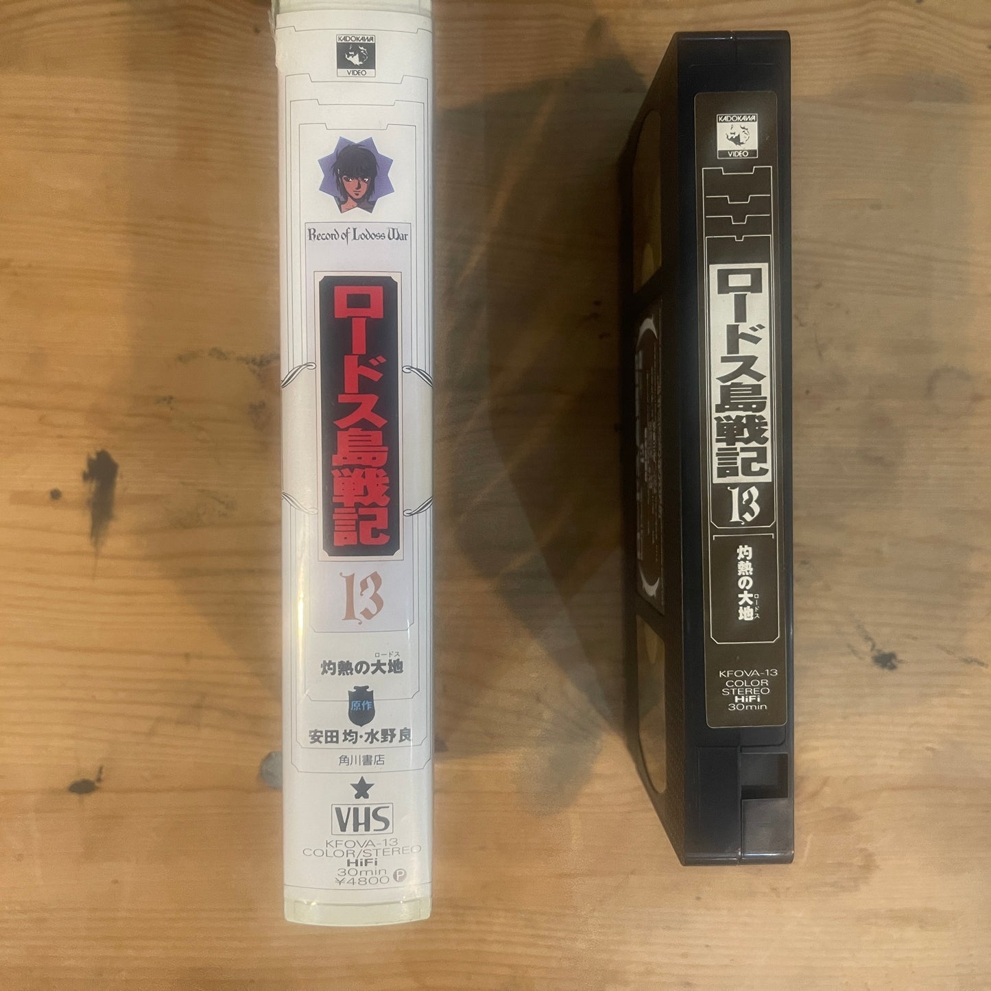 【レア/未確認】ロードス島戦記 OVA VHS 第13巻 「灼熱の大地」 / Record of Lodoss War OVA Vol. 13 "The Flaming Land" - UNTESTED