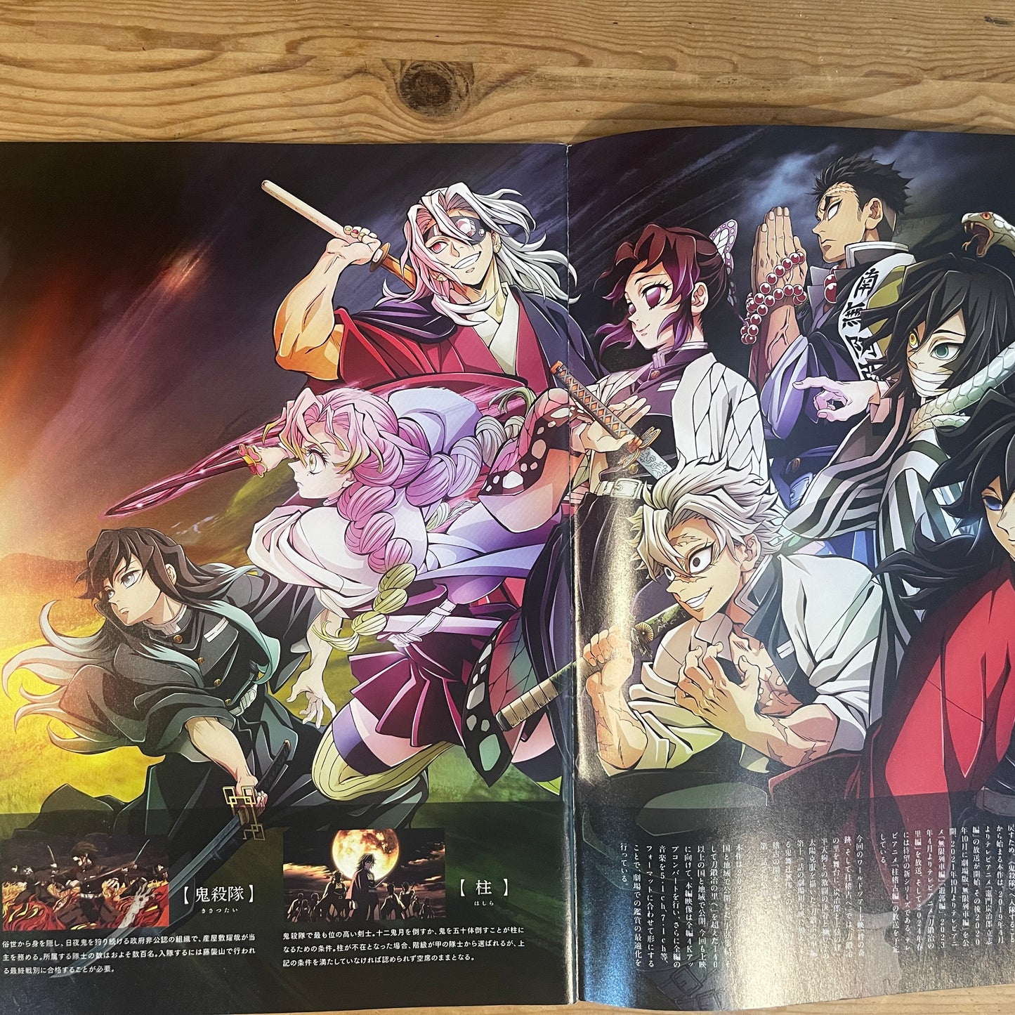 鬼滅の刃 柱稽古指南書 公式パンフレット / Demon Slayer: To the Hashira Training Official Pamphlet