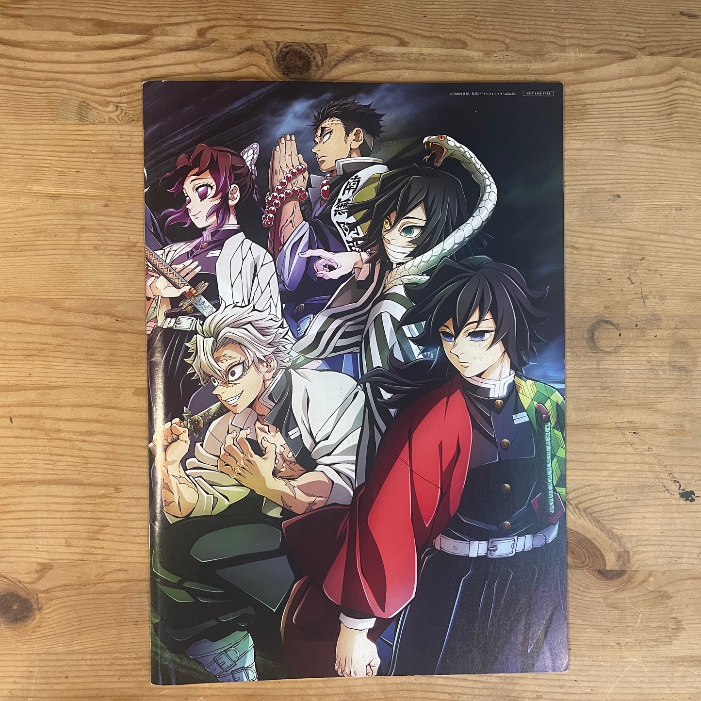 鬼滅の刃 柱稽古指南書 公式パンフレット / Demon Slayer: To the Hashira Training Official Pamphlet