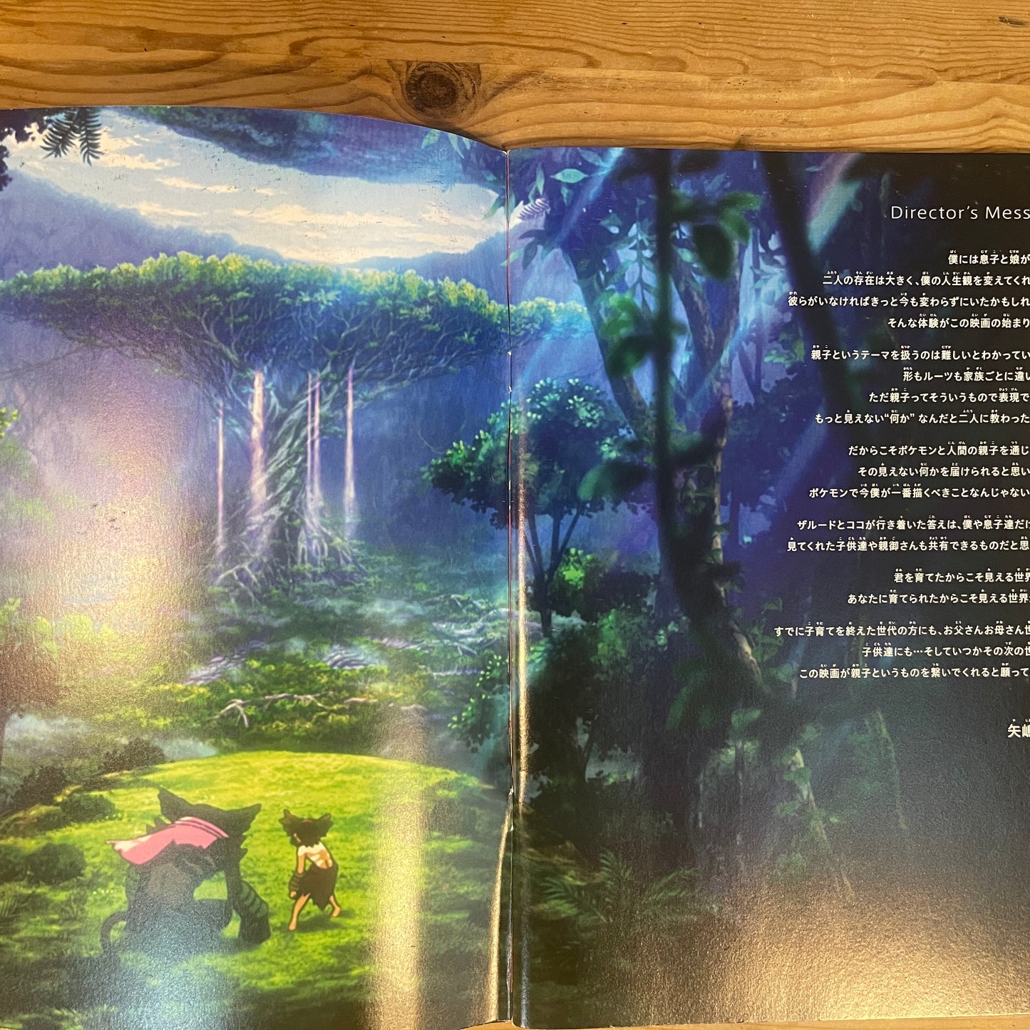 劇場版ポケットモンスター ココ 公式パンフレット / Pokémon the Movie: Secrets of the Jungle Official Pamphlet