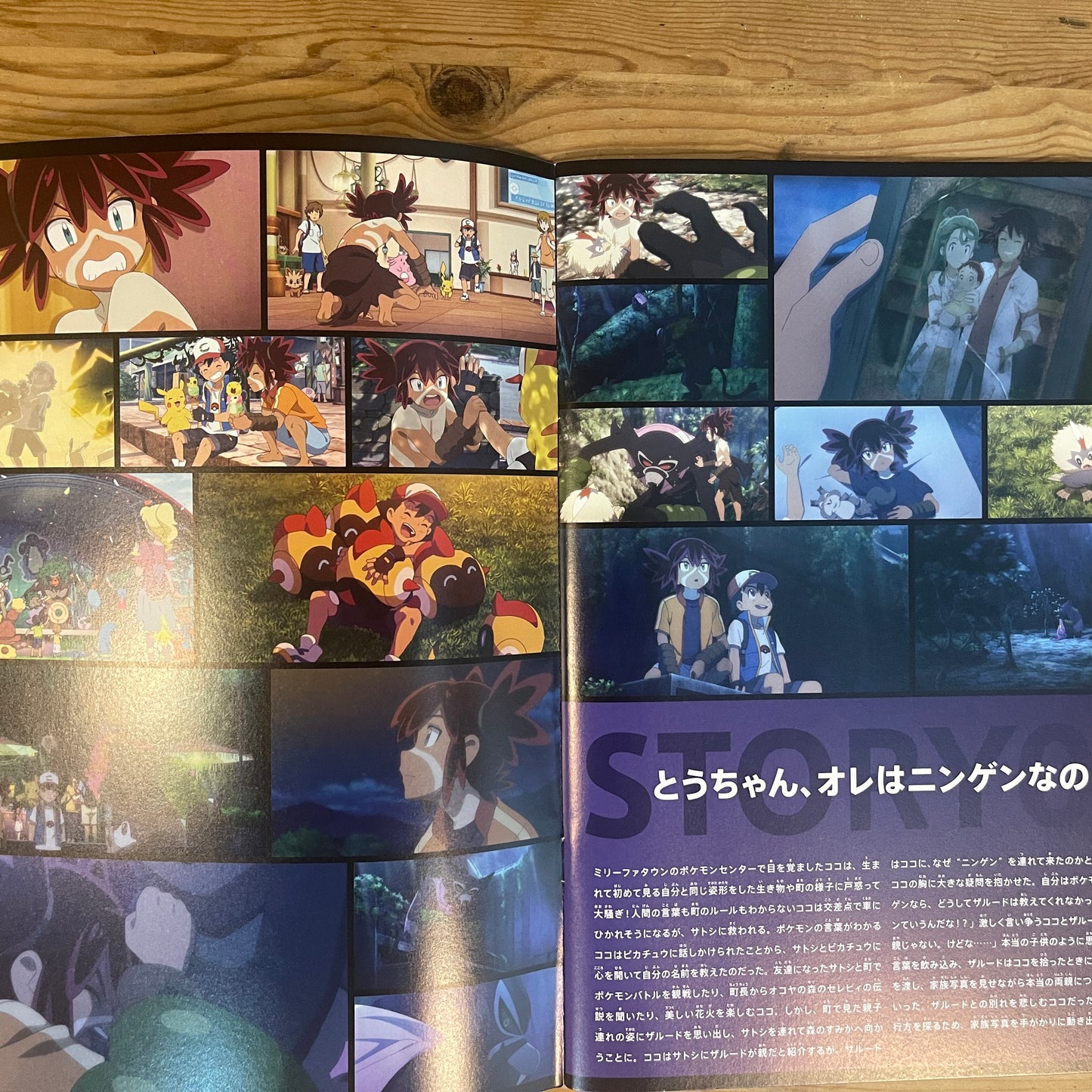 劇場版ポケットモンスター ココ 公式パンフレット / Pokémon the Movie: Secrets of the Jungle Official Pamphlet
